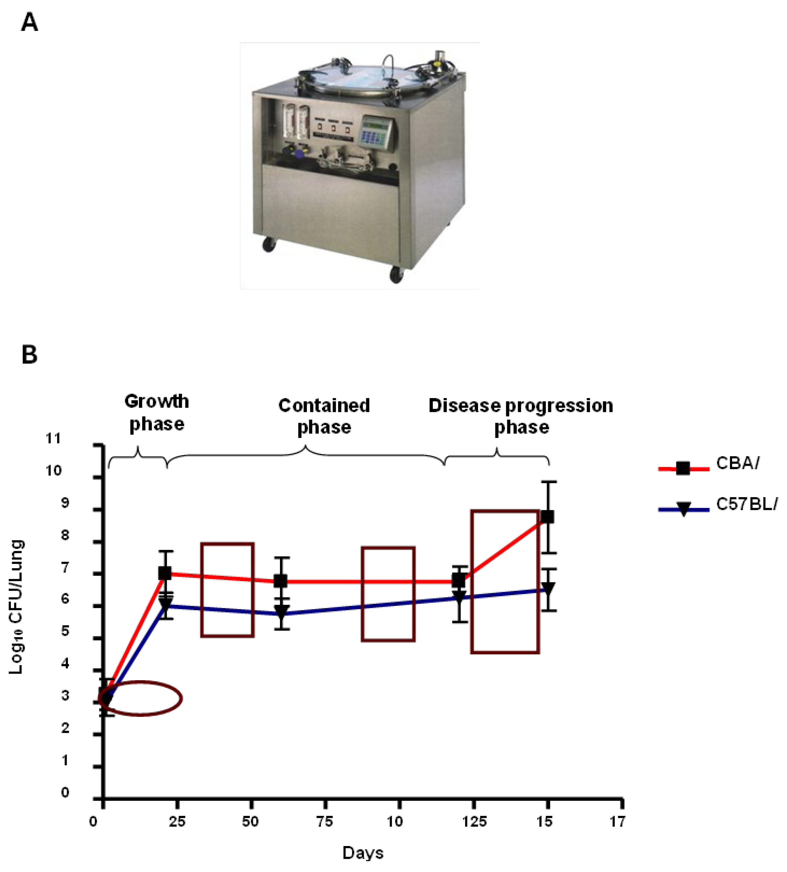 Preprints 213938 g001 Preprints 213938 g001