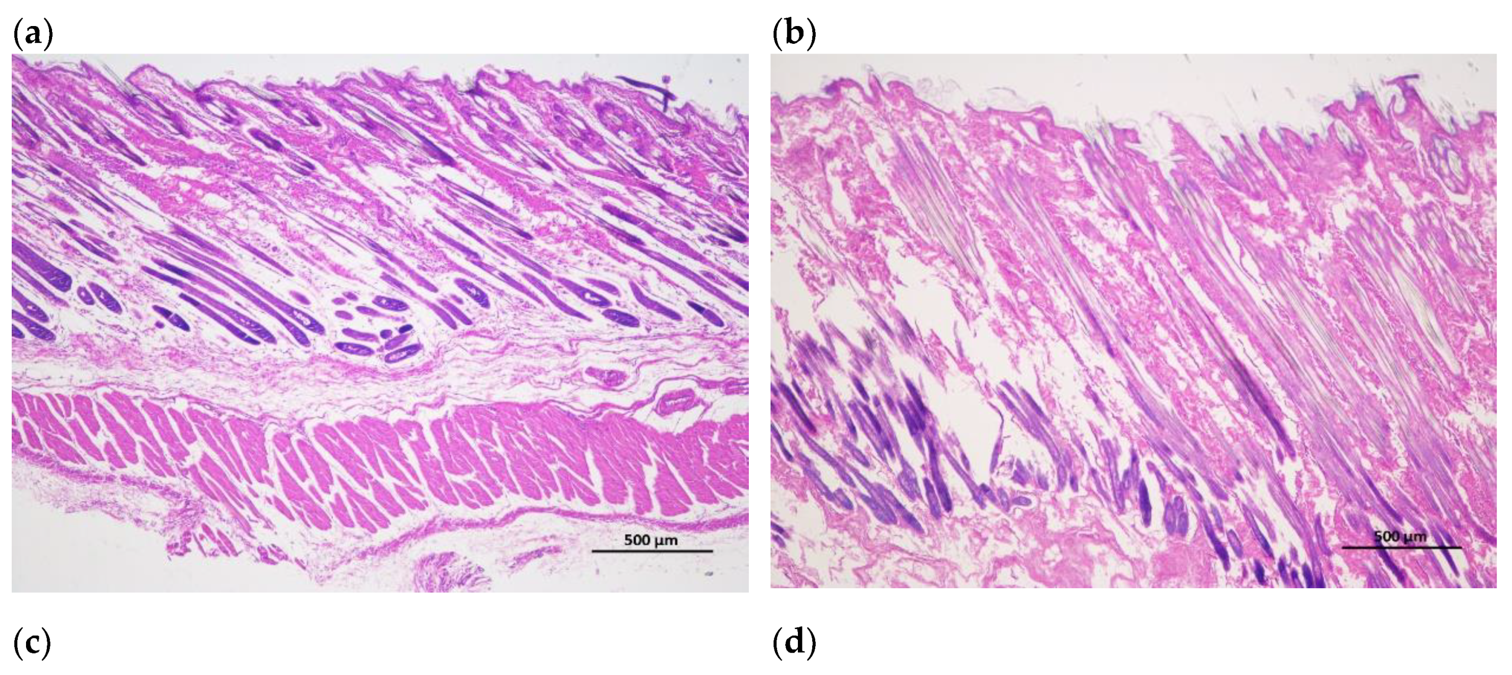 Preprints 107665 g001a