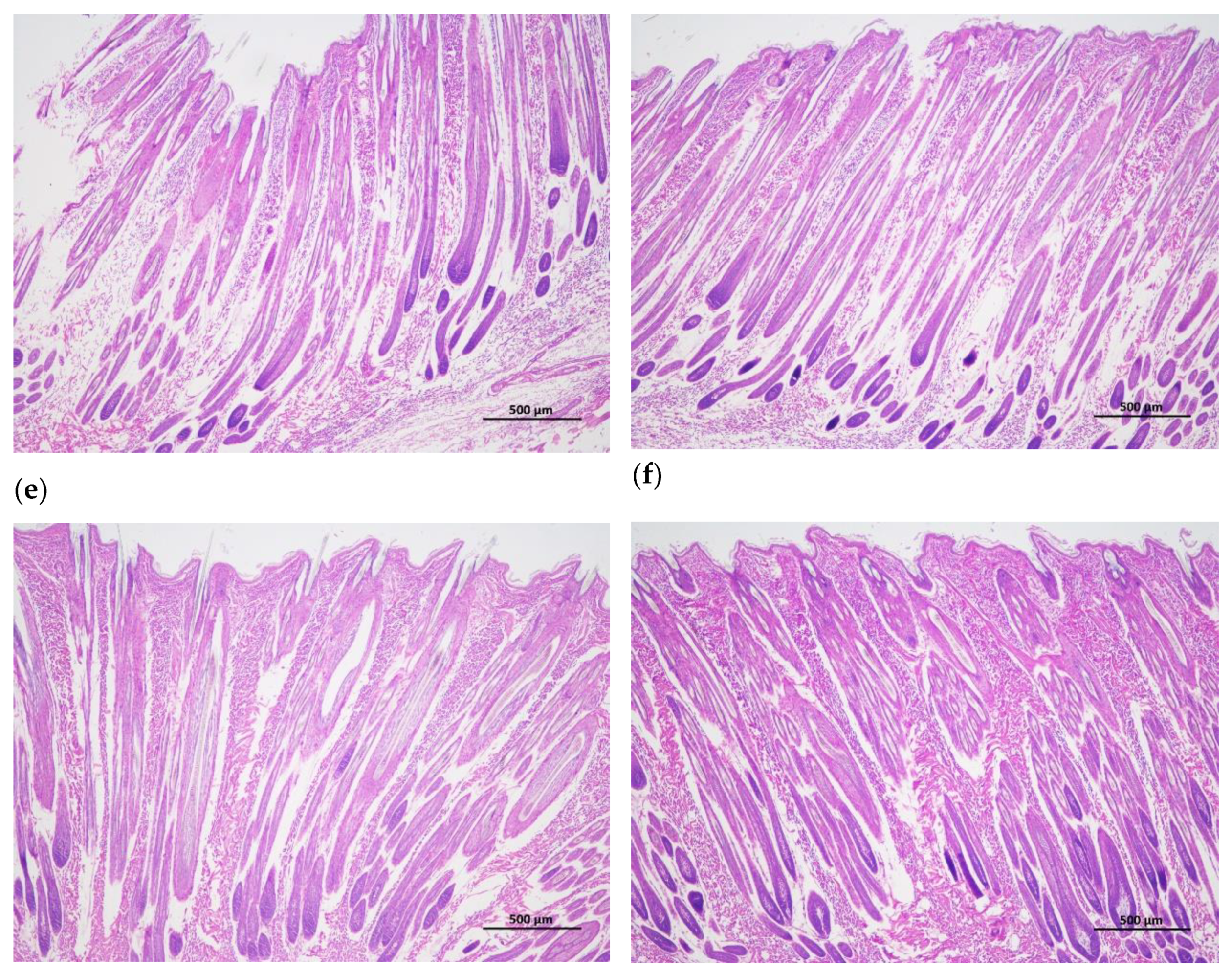 Preprints 107665 g001b