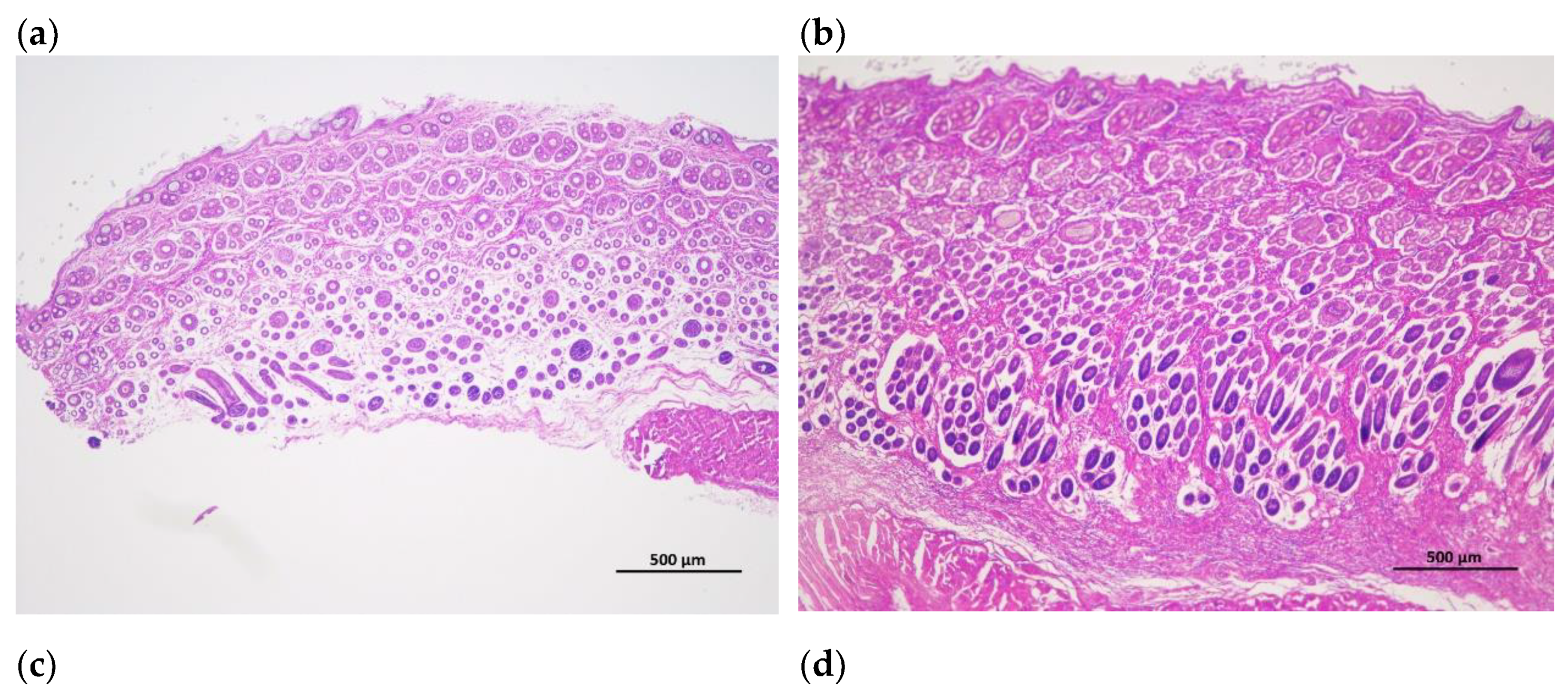 Preprints 107665 g002a