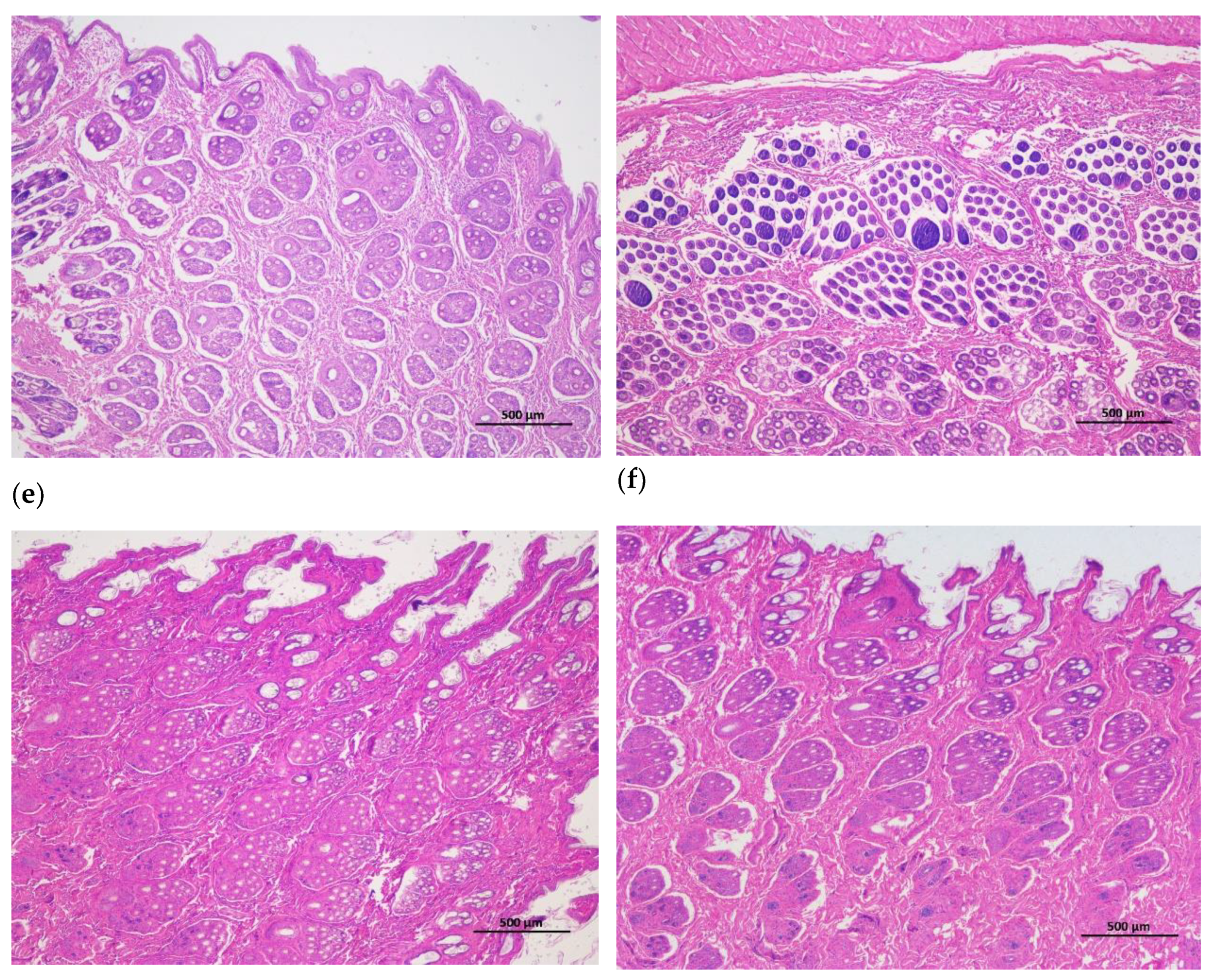 Preprints 107665 g002b