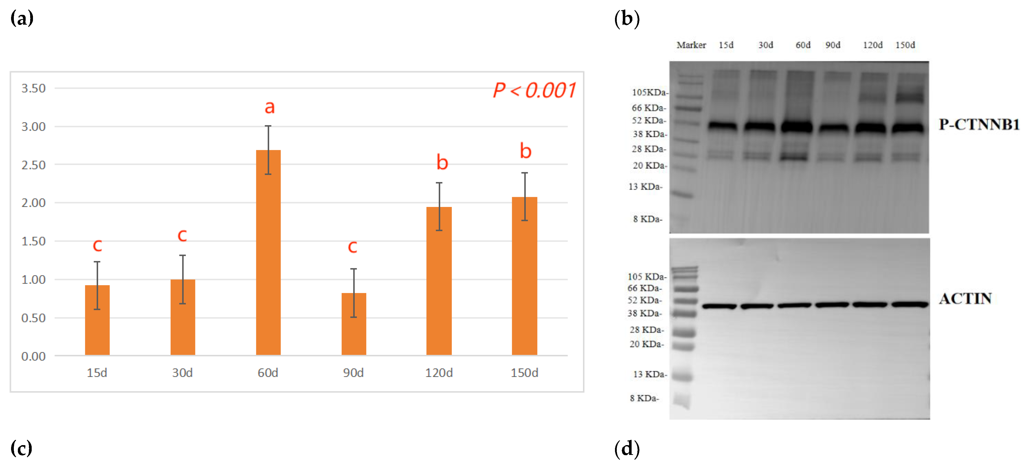 Preprints 107665 g003a