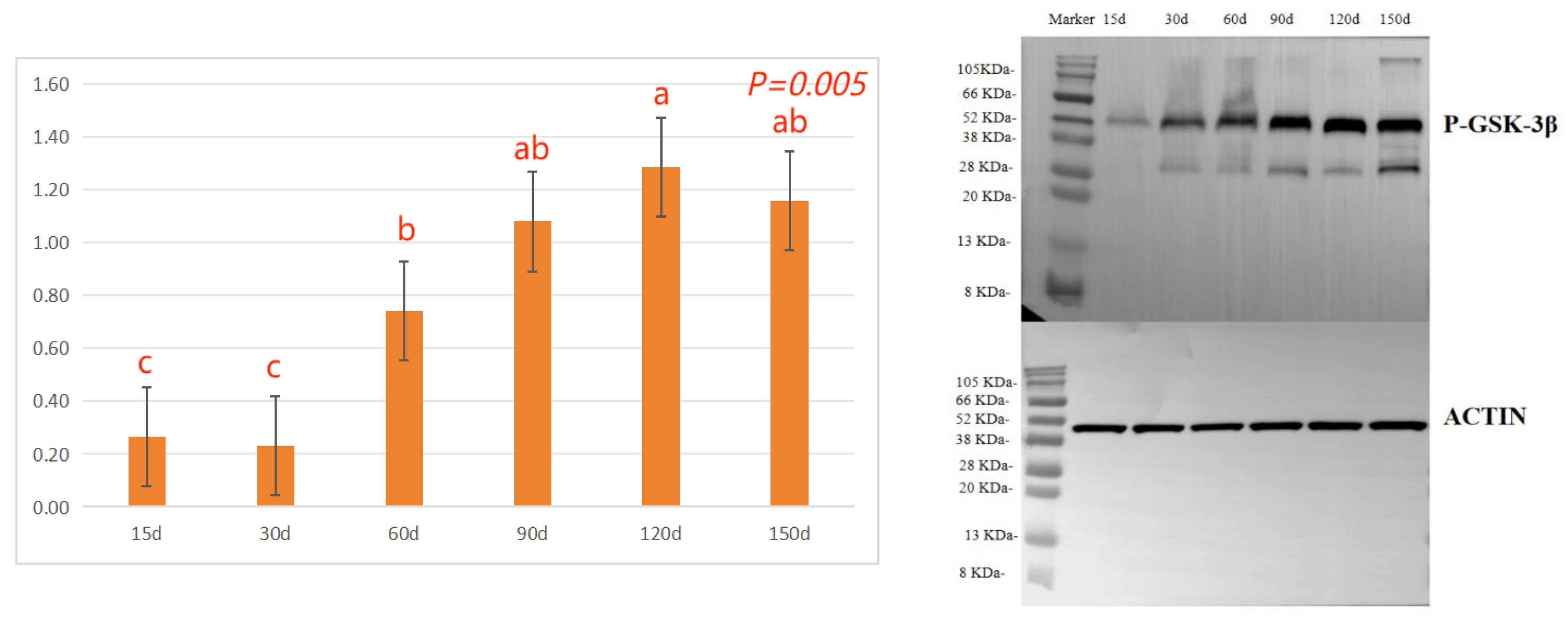 Preprints 107665 g003b