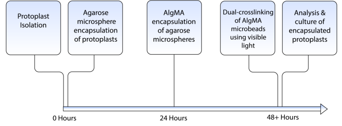 Preprints 221647 g006 Preprints 221647 g006