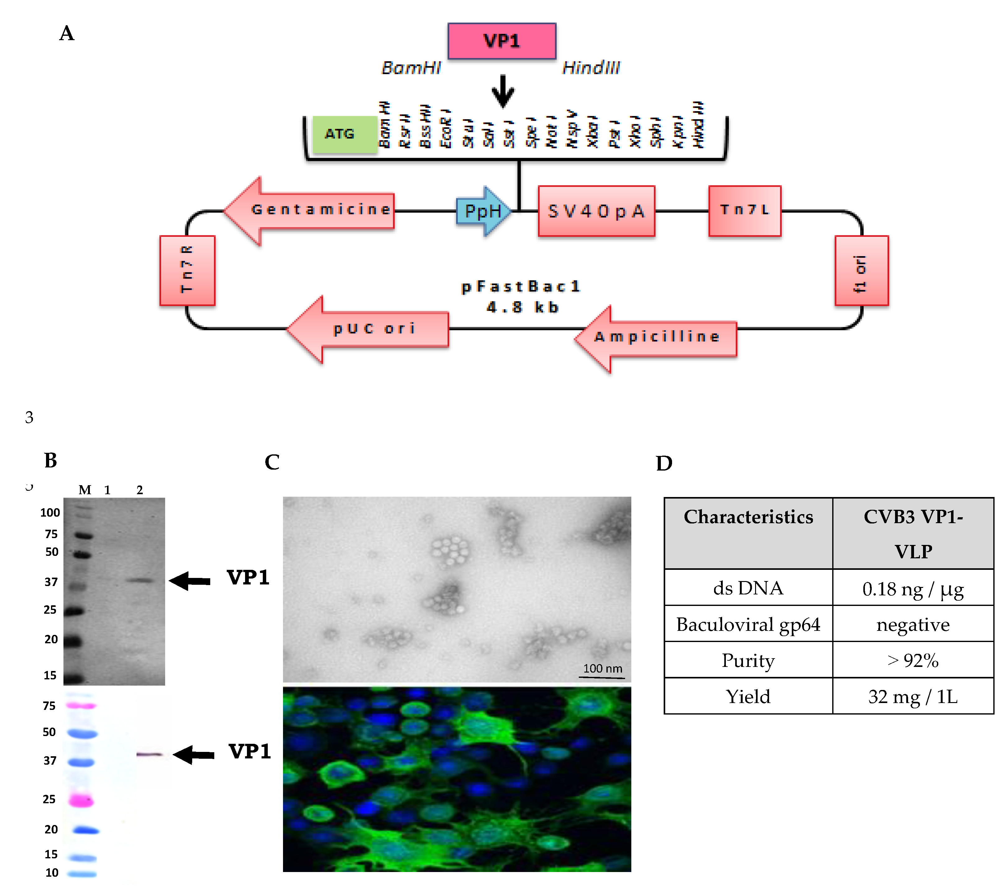 Preprints 189254 g001