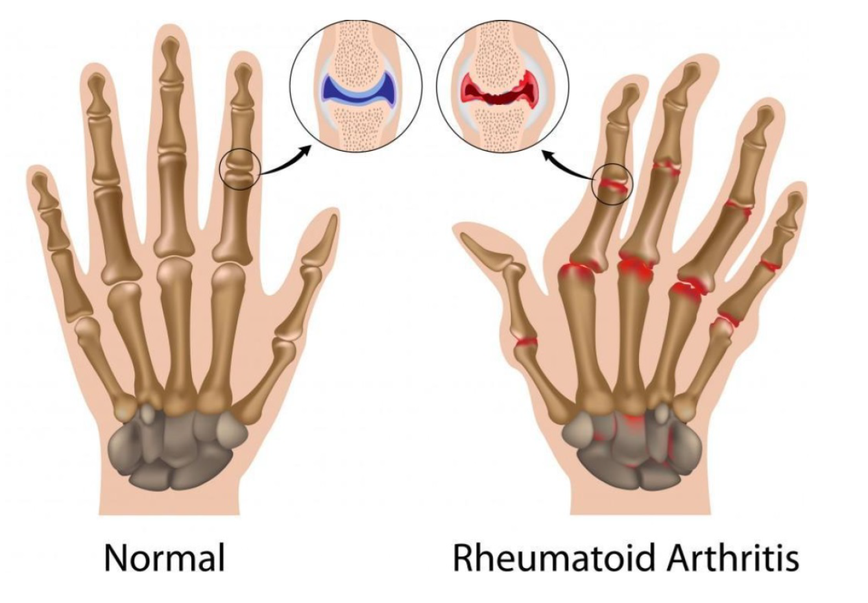 Preprints 159325 g001