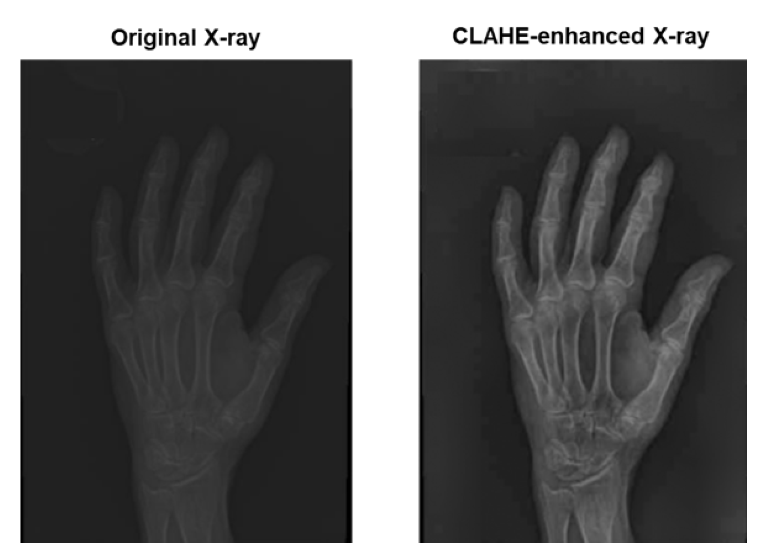 Preprints 159325 g005