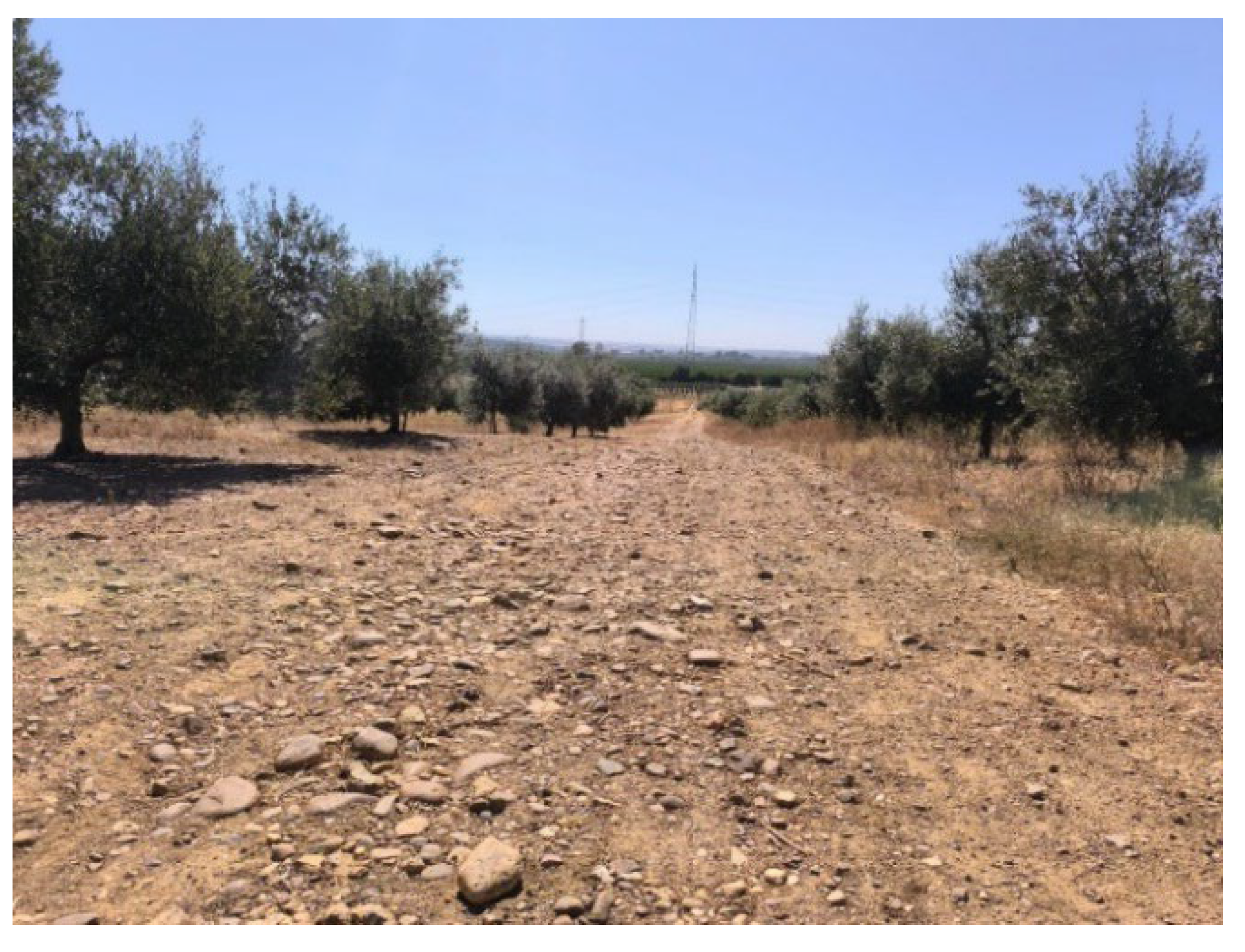 Preprints 141967 g002