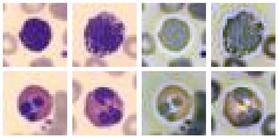 Preprints 222932 g006 Preprints 222932 g006