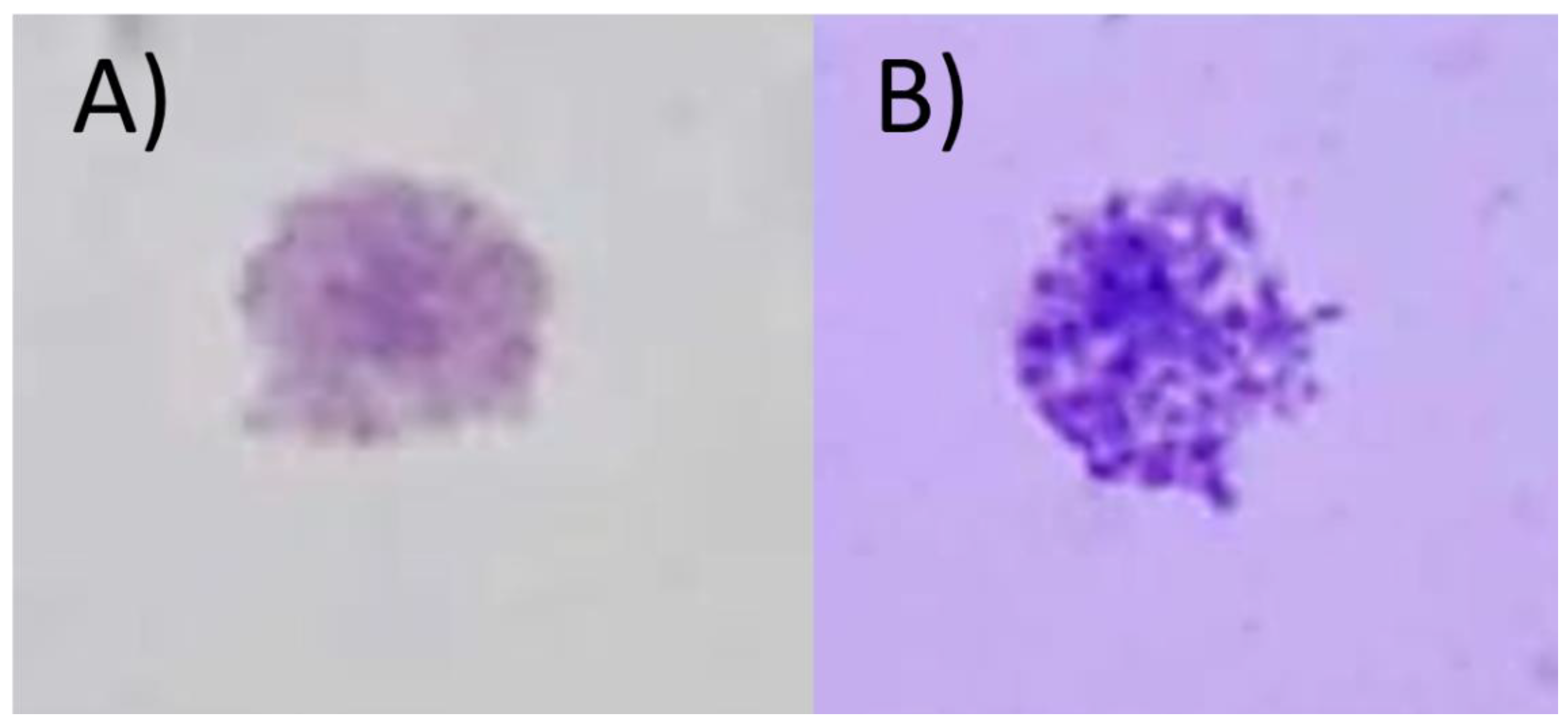 Preprints 197436 g008