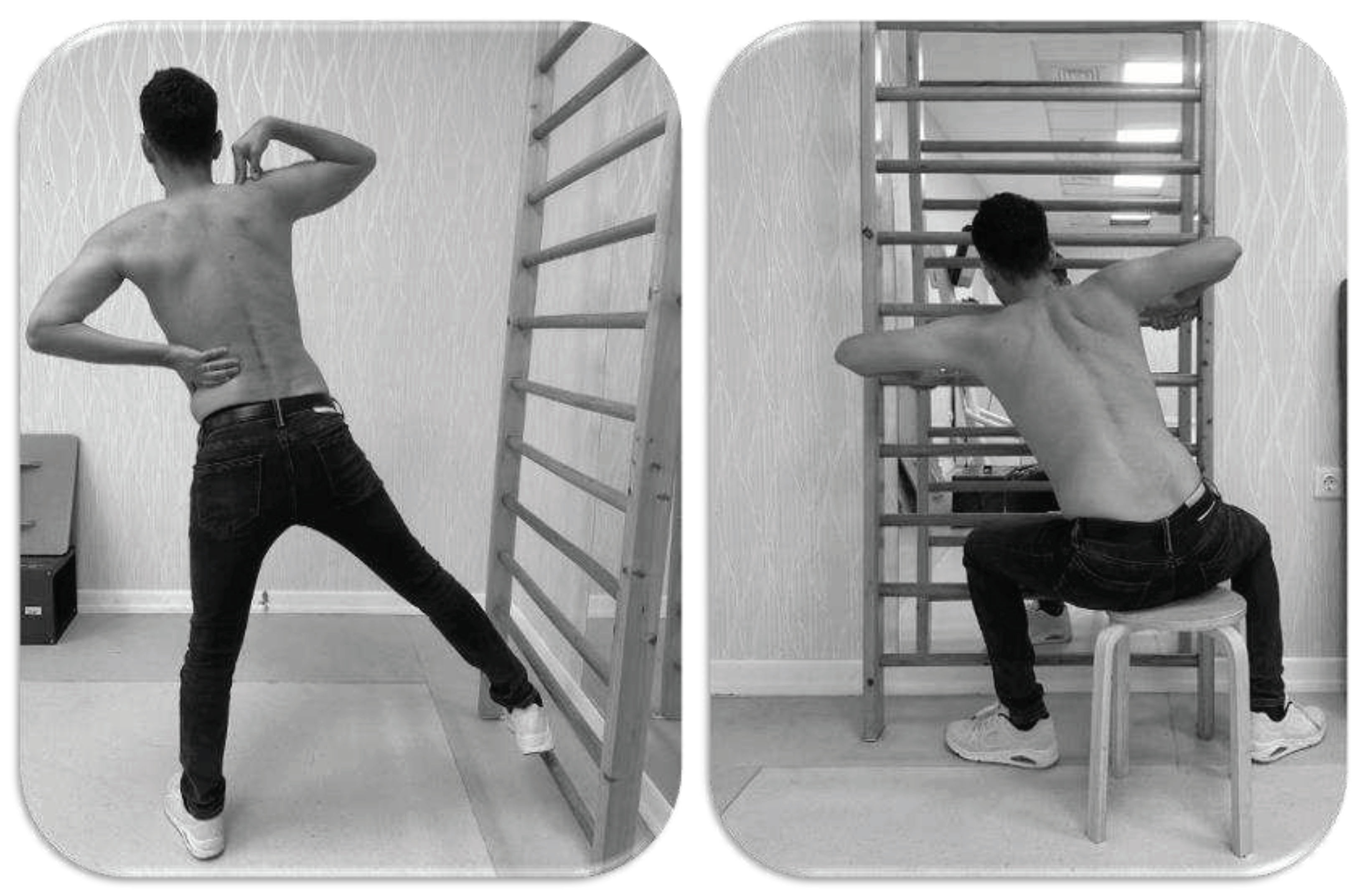 Preprints 84163 g003