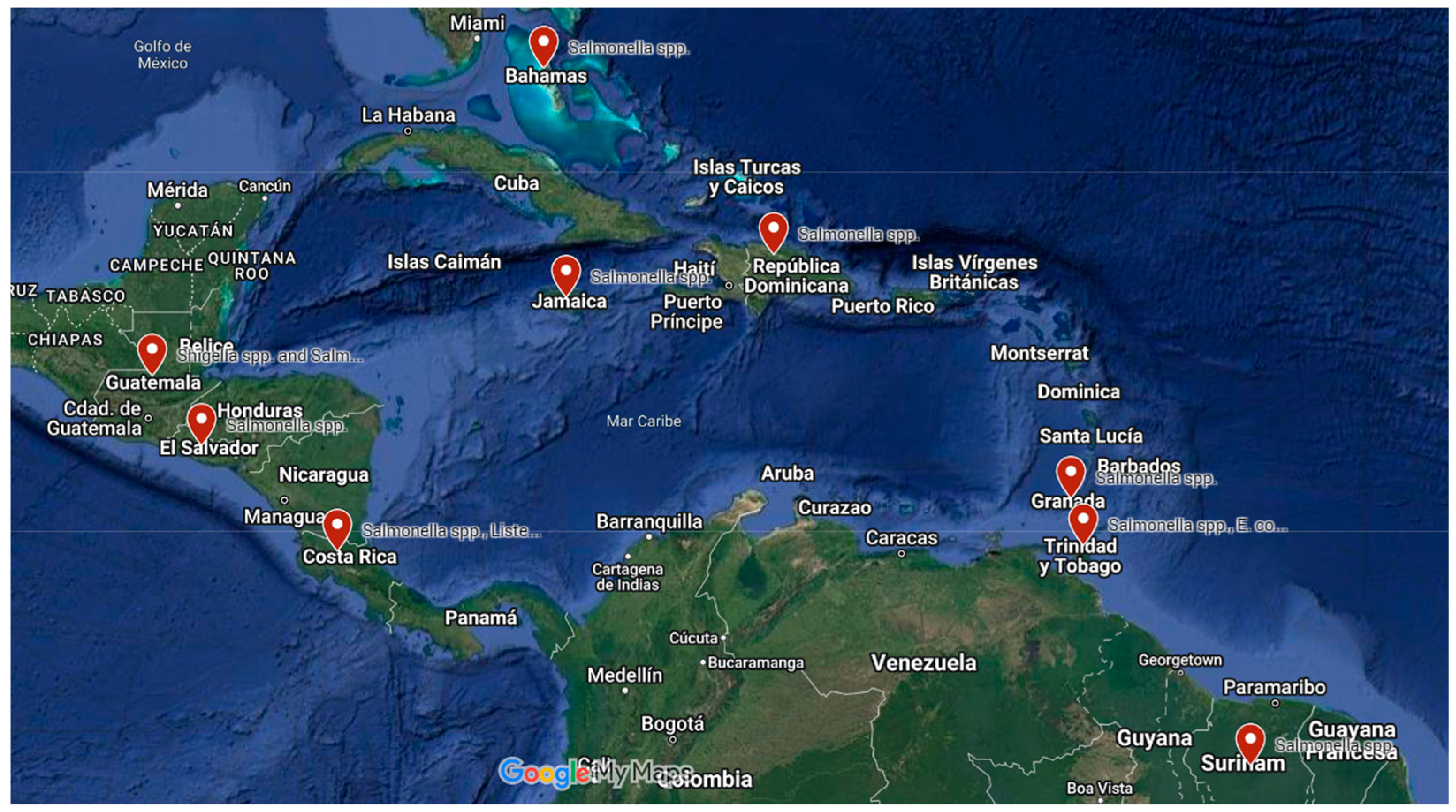 Preprints 140597 g002