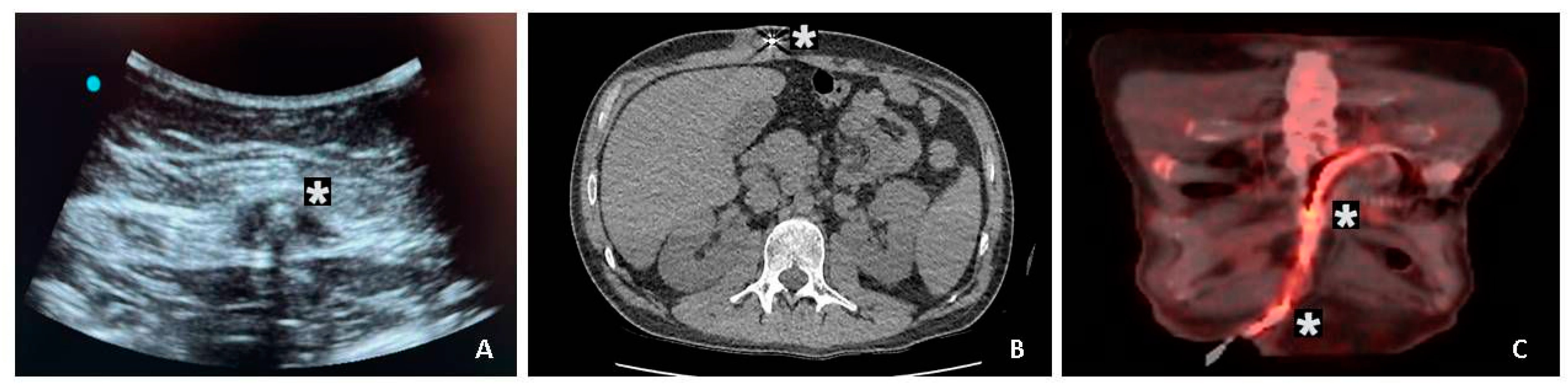 Preprints 155257 g001