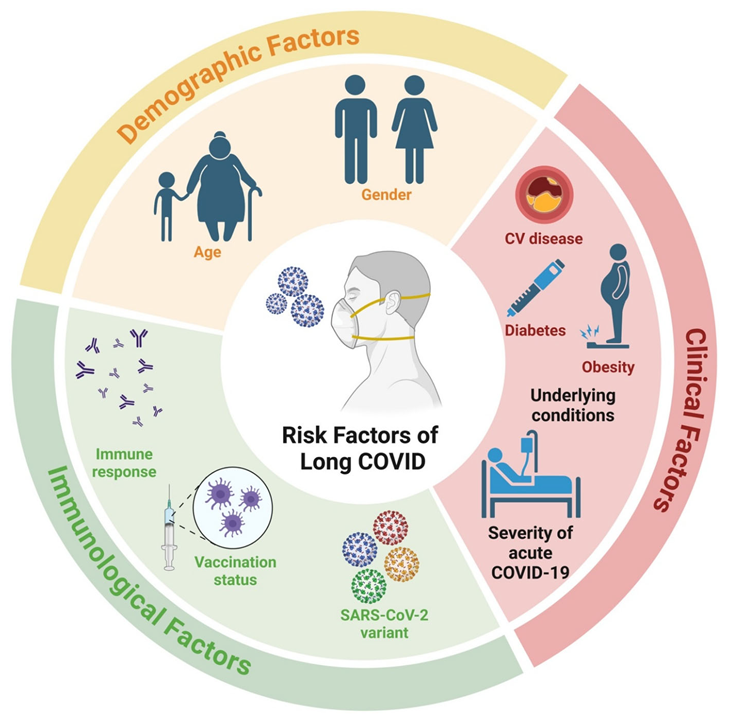 Preprints 196396 i001