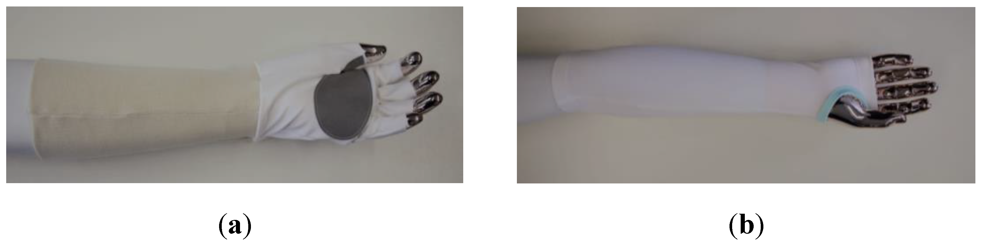 Preprints 145606 g001a