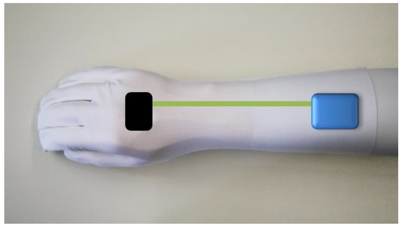 Preprints 145606 g002
