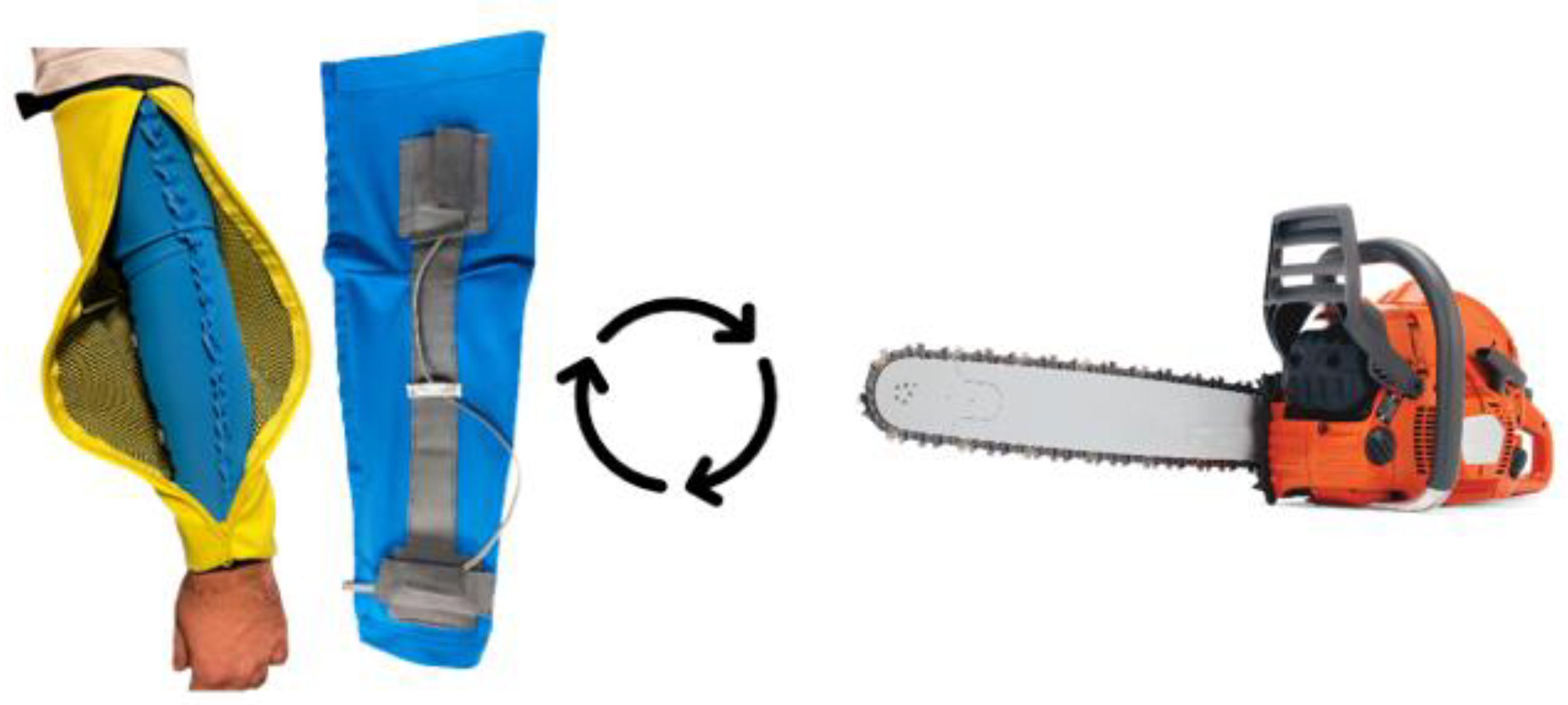 Preprints 145606 g004