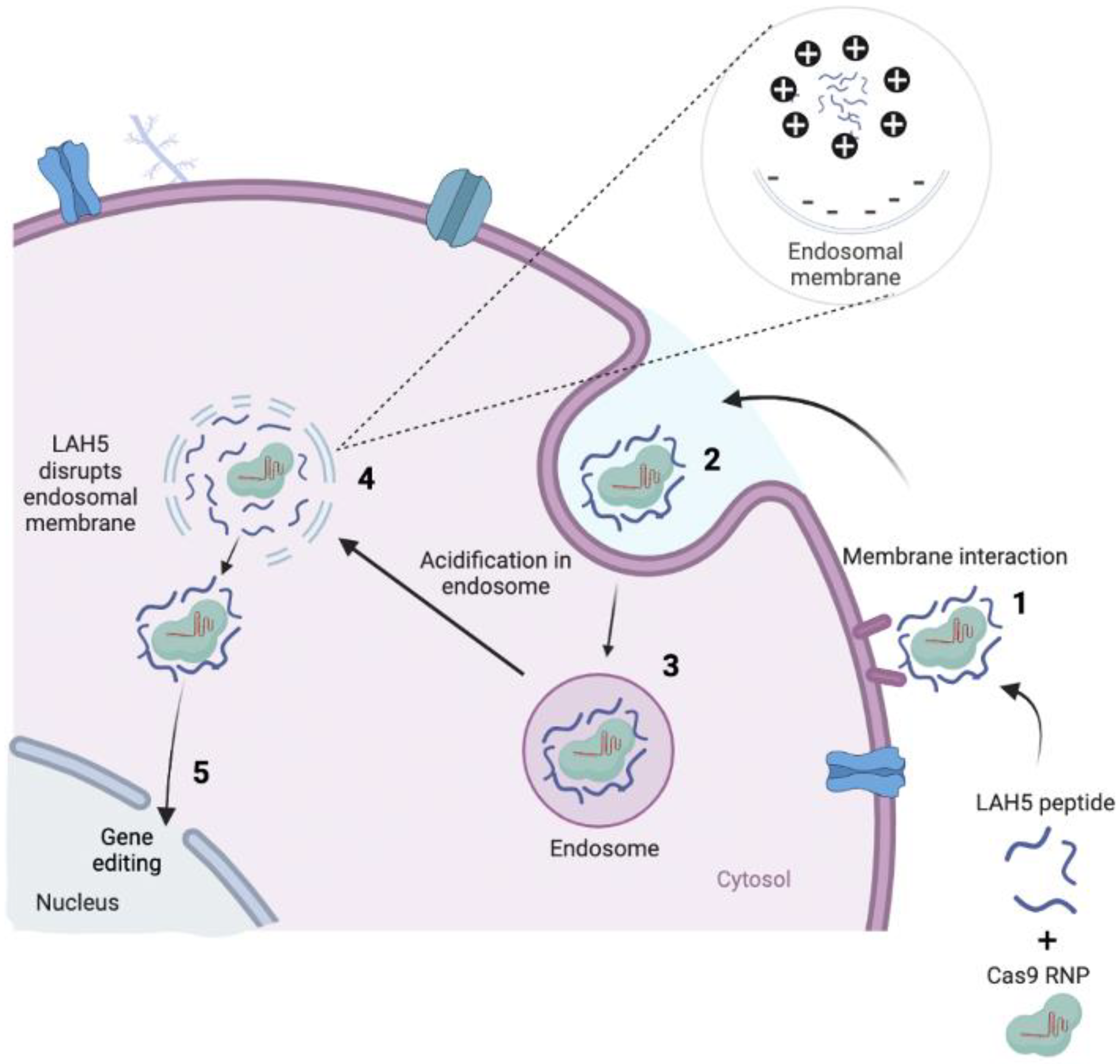 Preprints 77398 g001