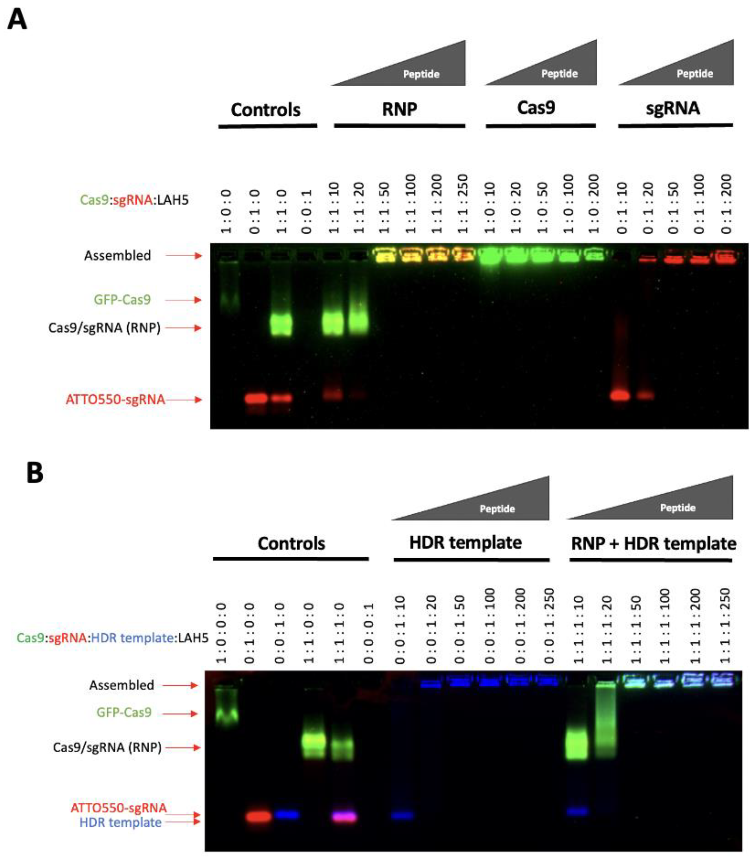 Preprints 77398 g002