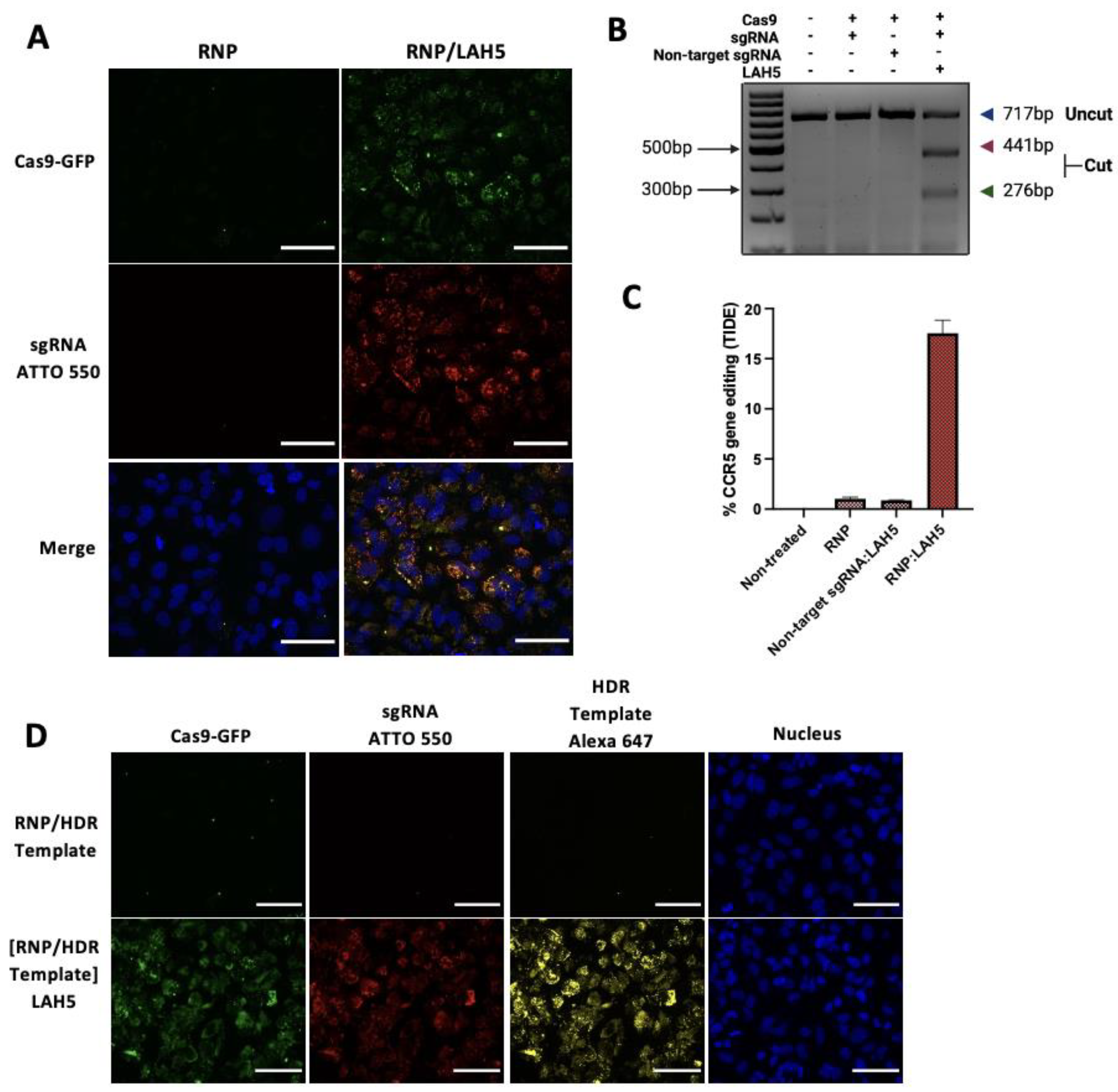 Preprints 77398 g004