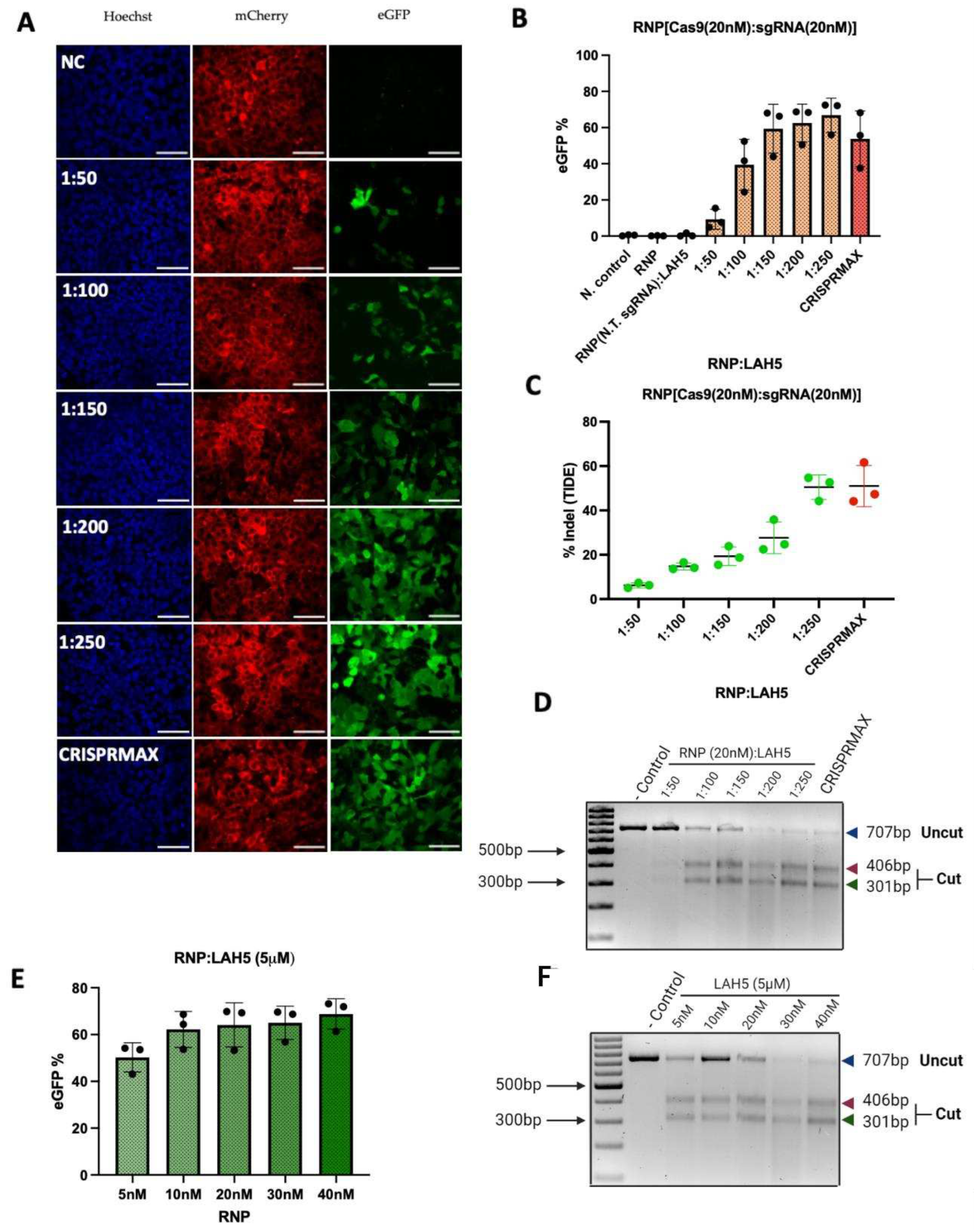 Preprints 77398 g005