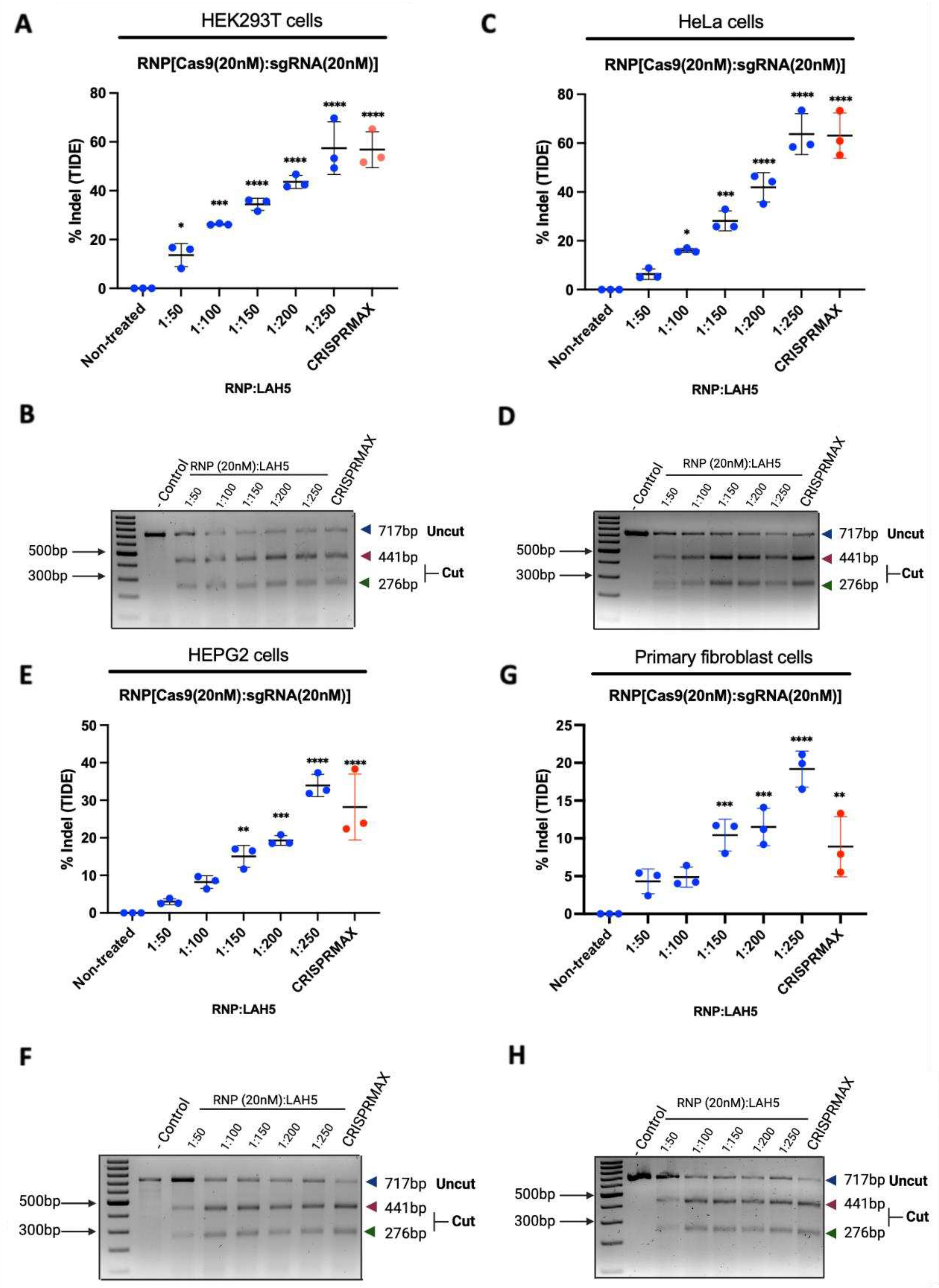 Preprints 77398 g006