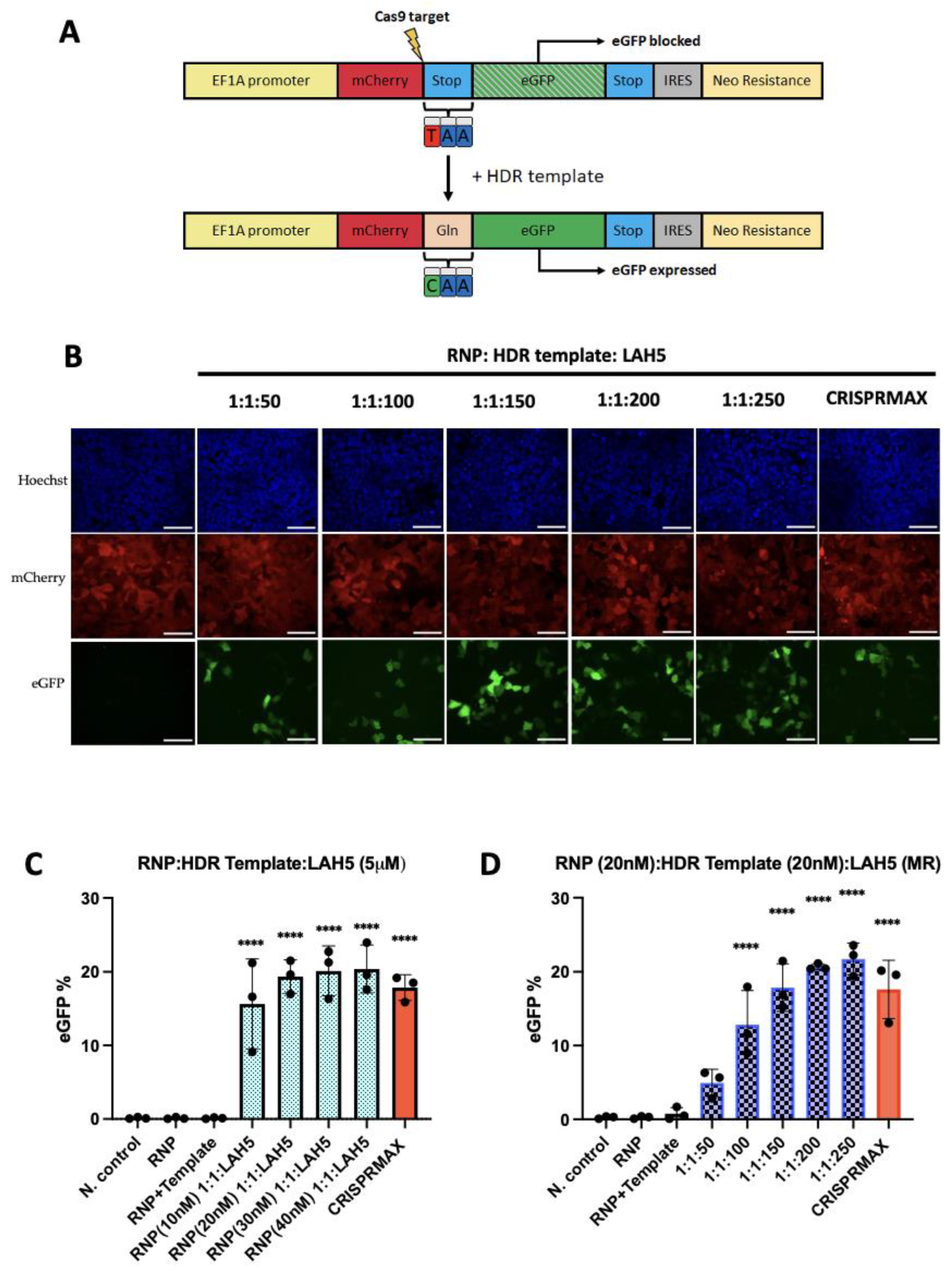 Preprints 77398 g007