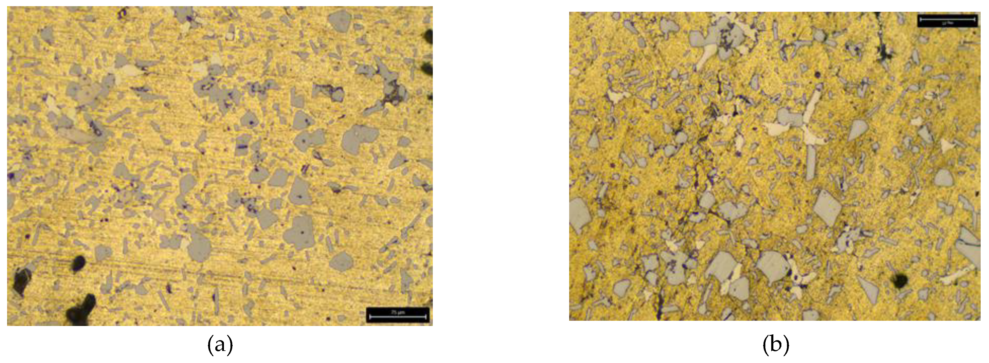 Preprints 150623 g003