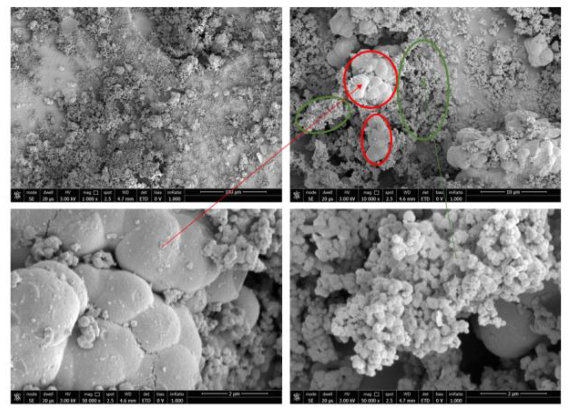 Preprints 90816 g015