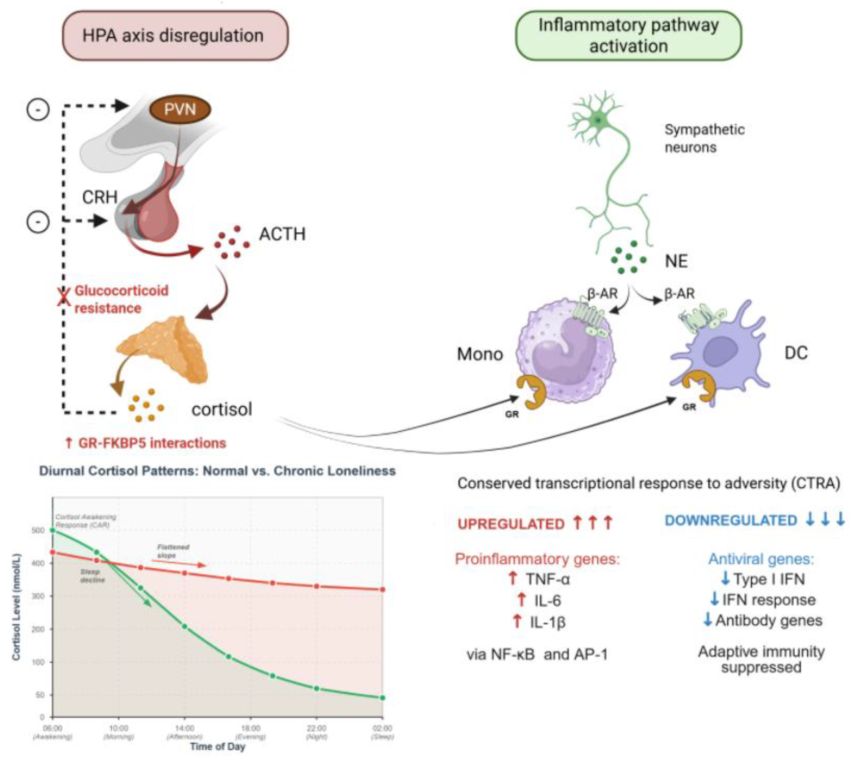 Preprints 185152 g001