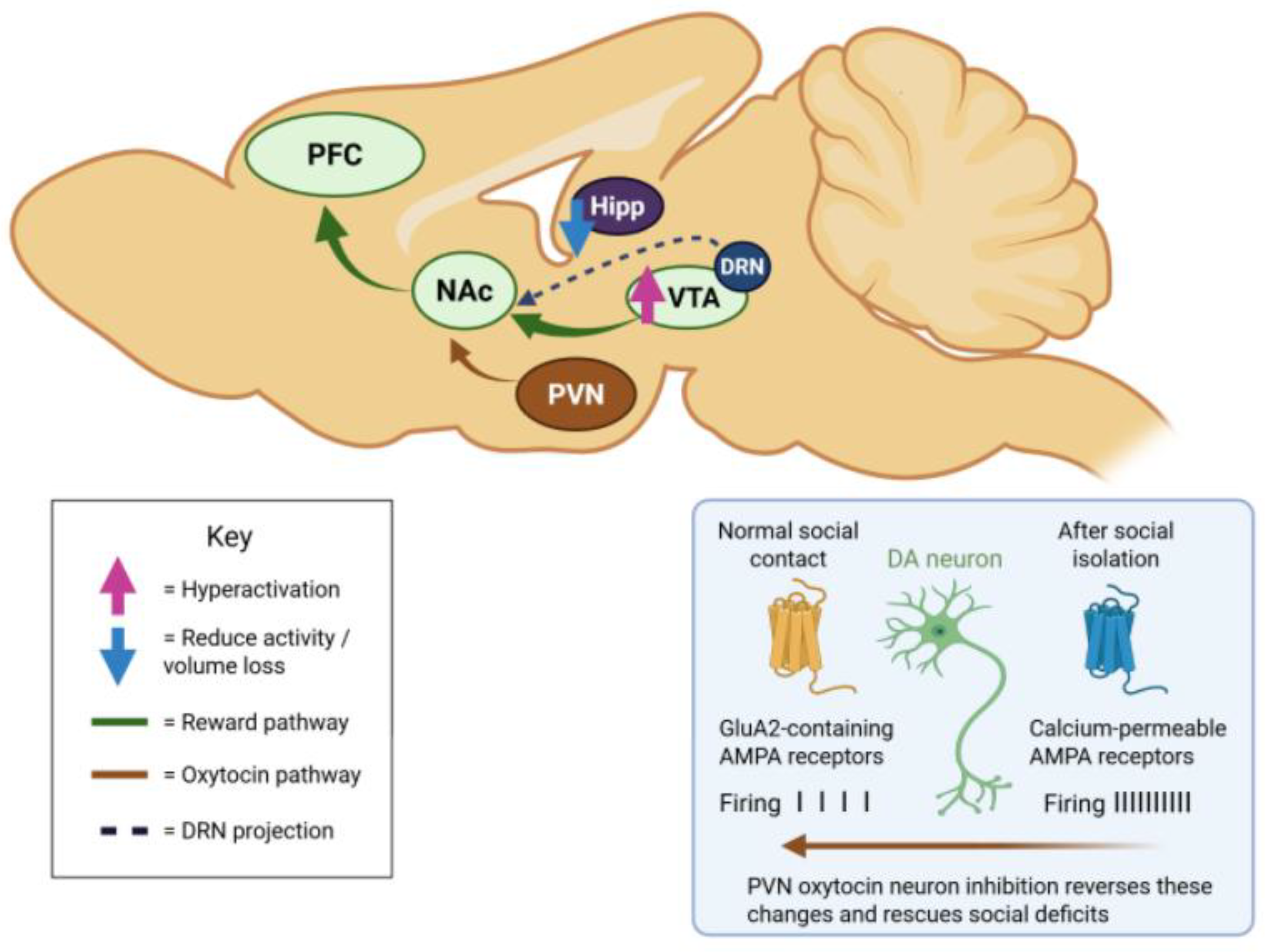 Preprints 185152 g002