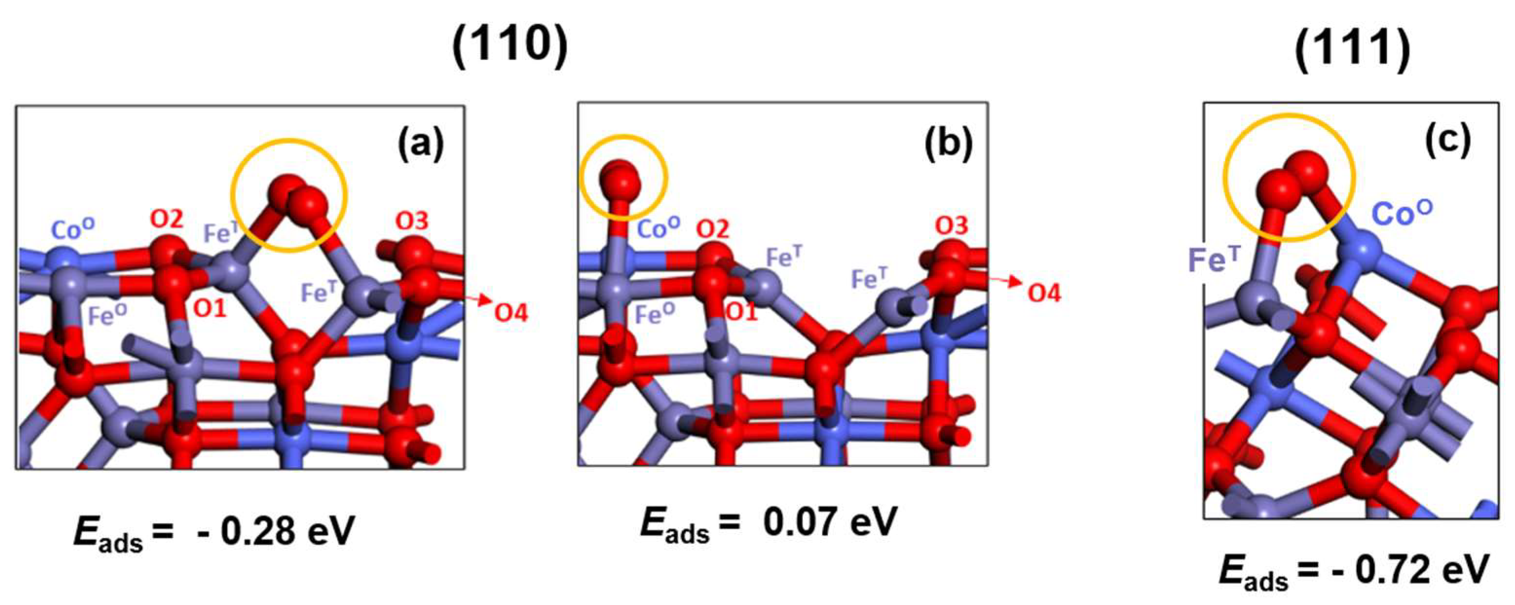Preprints 94576 g006