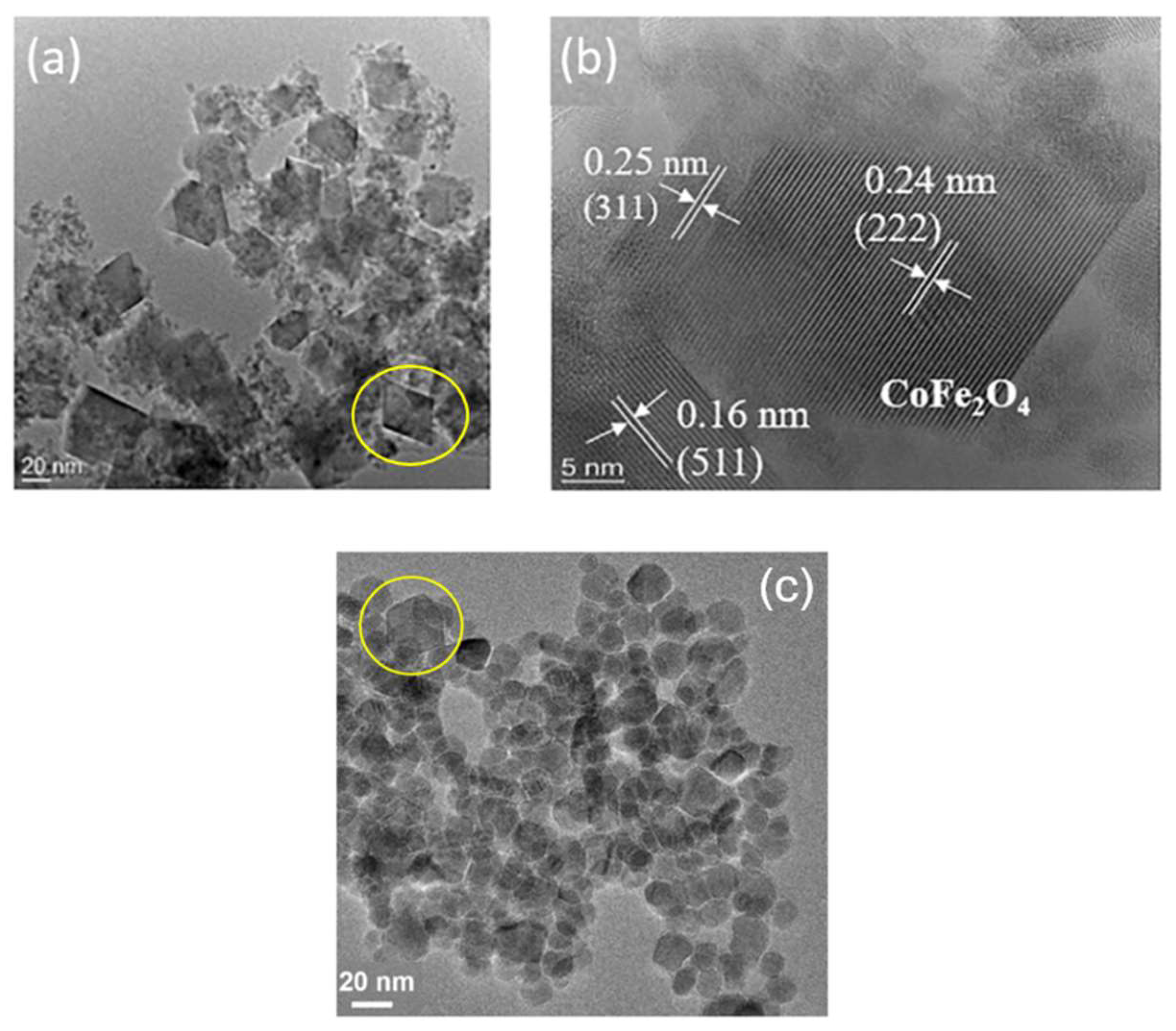 Preprints 94576 g009