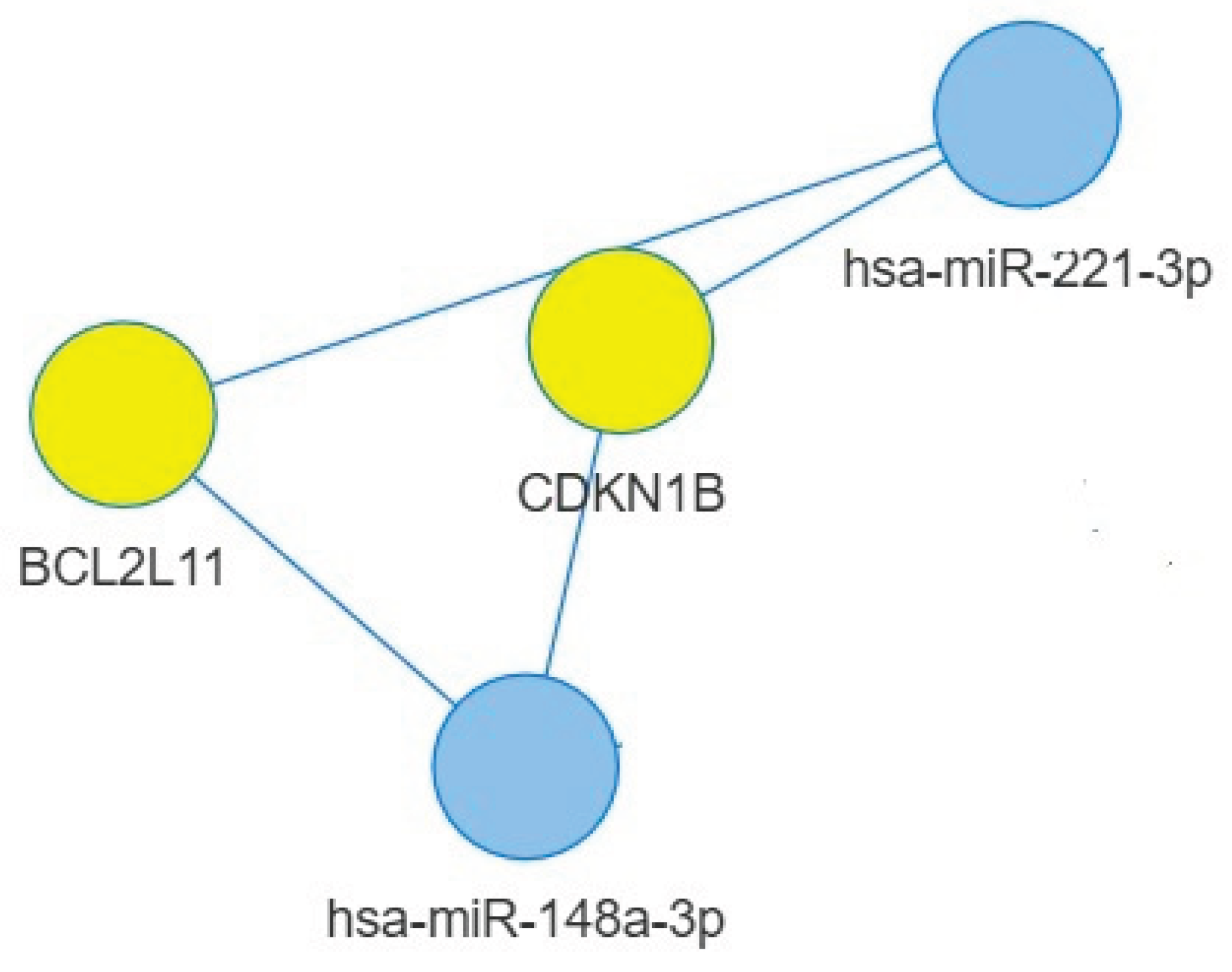 Preprints 170437 g003