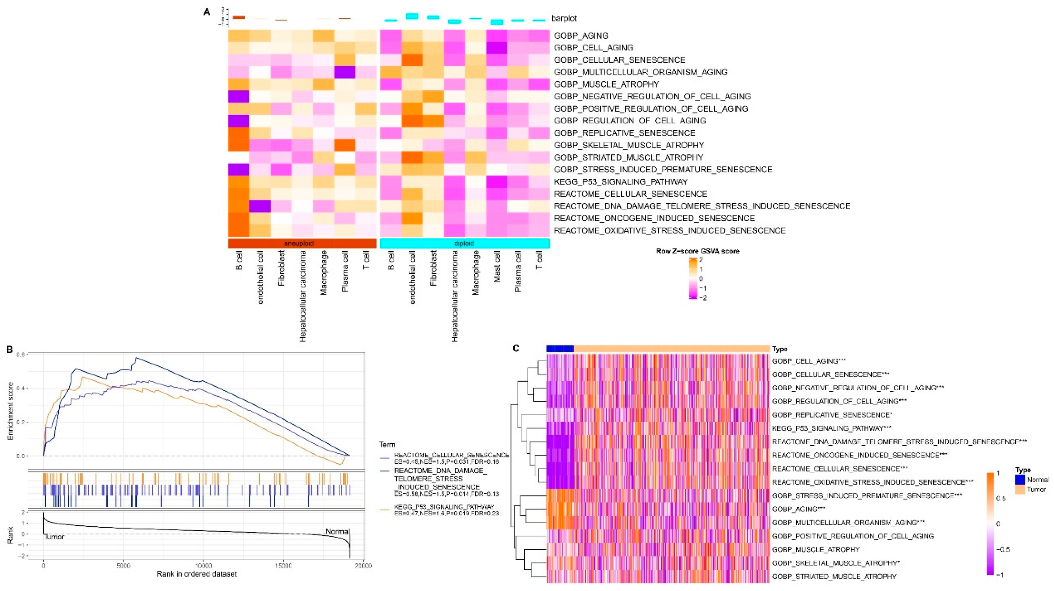 Preprints 93712 g002