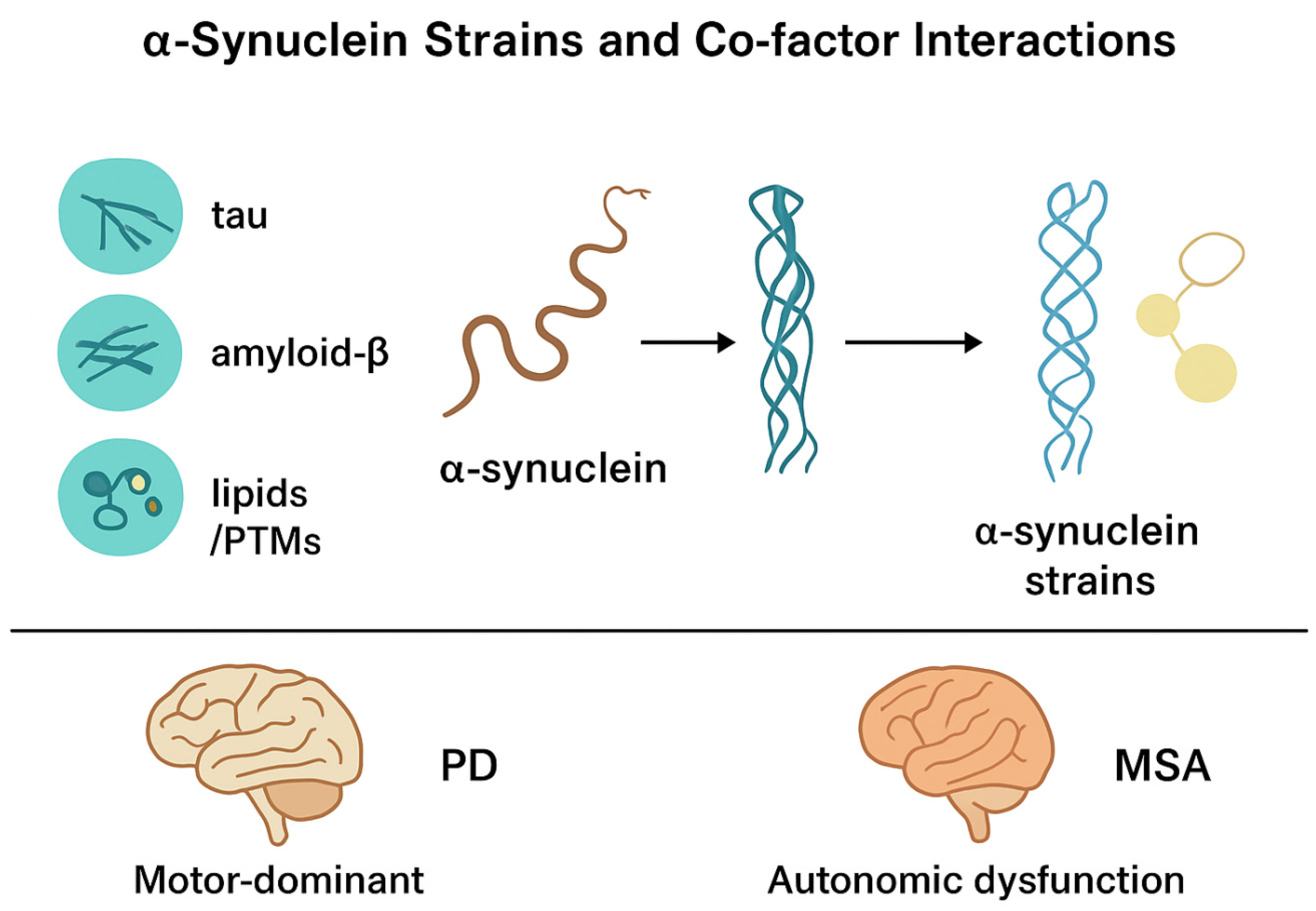 Preprints 177099 g001