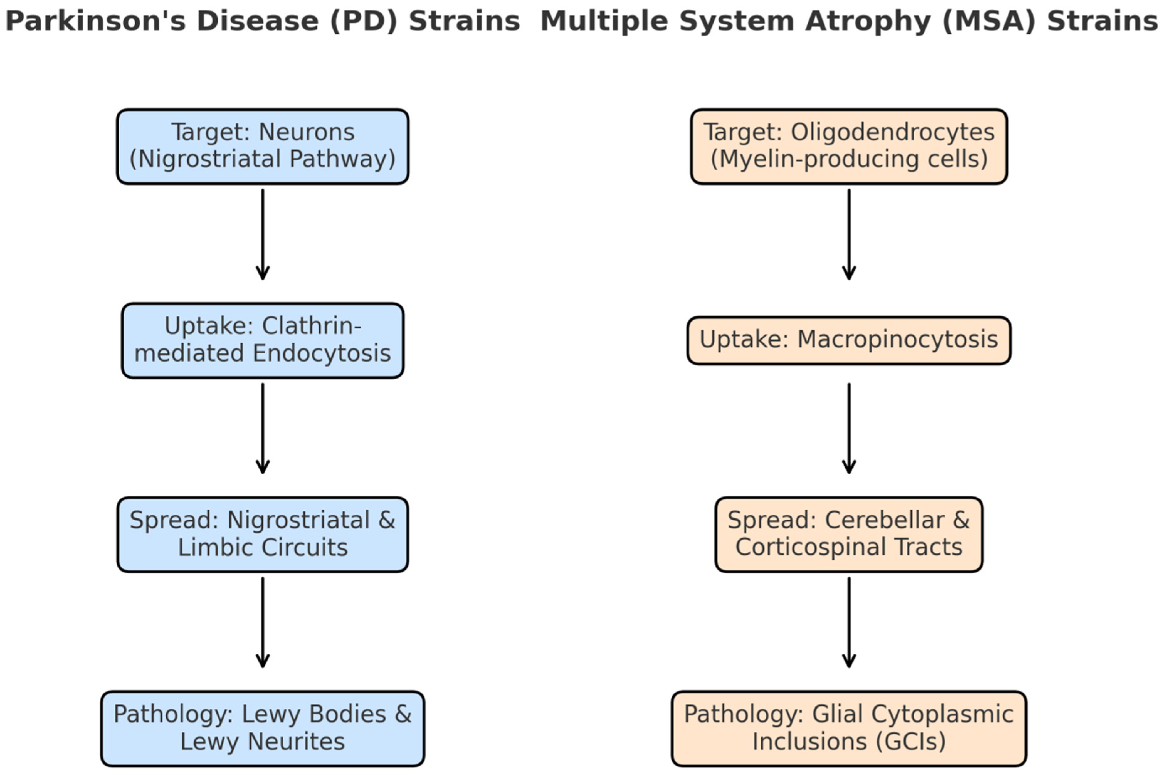 Preprints 177099 g003