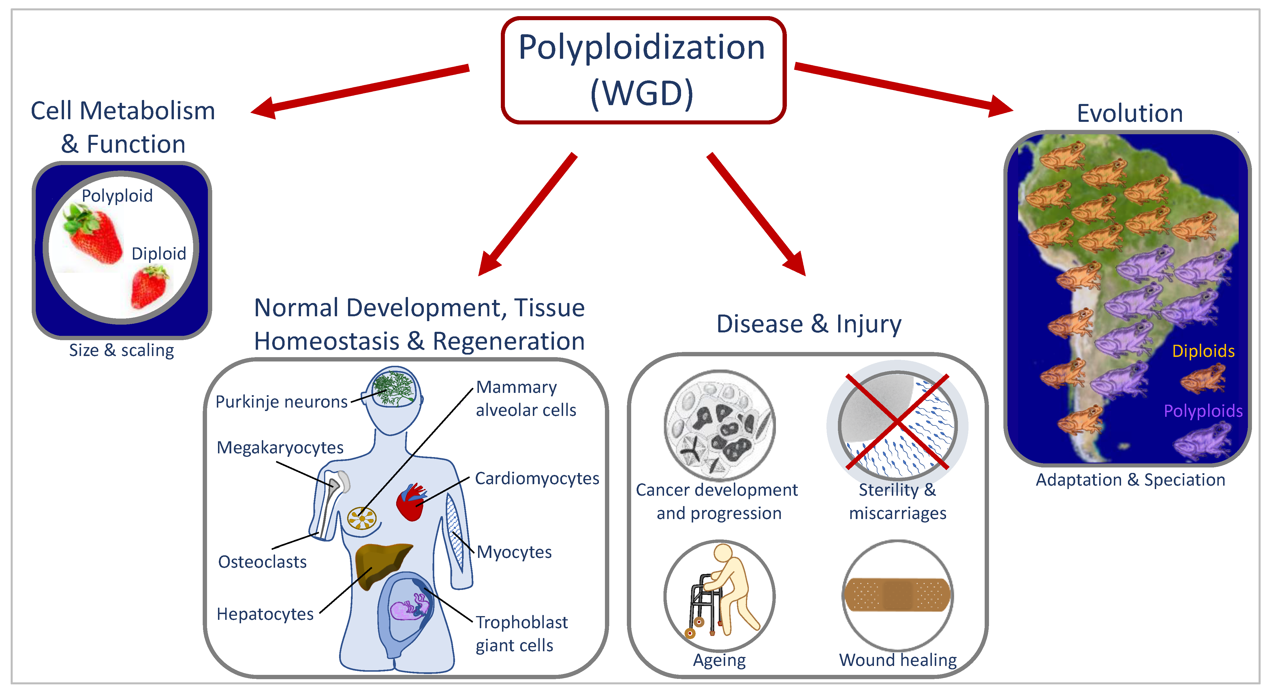 Preprints 71791 g001