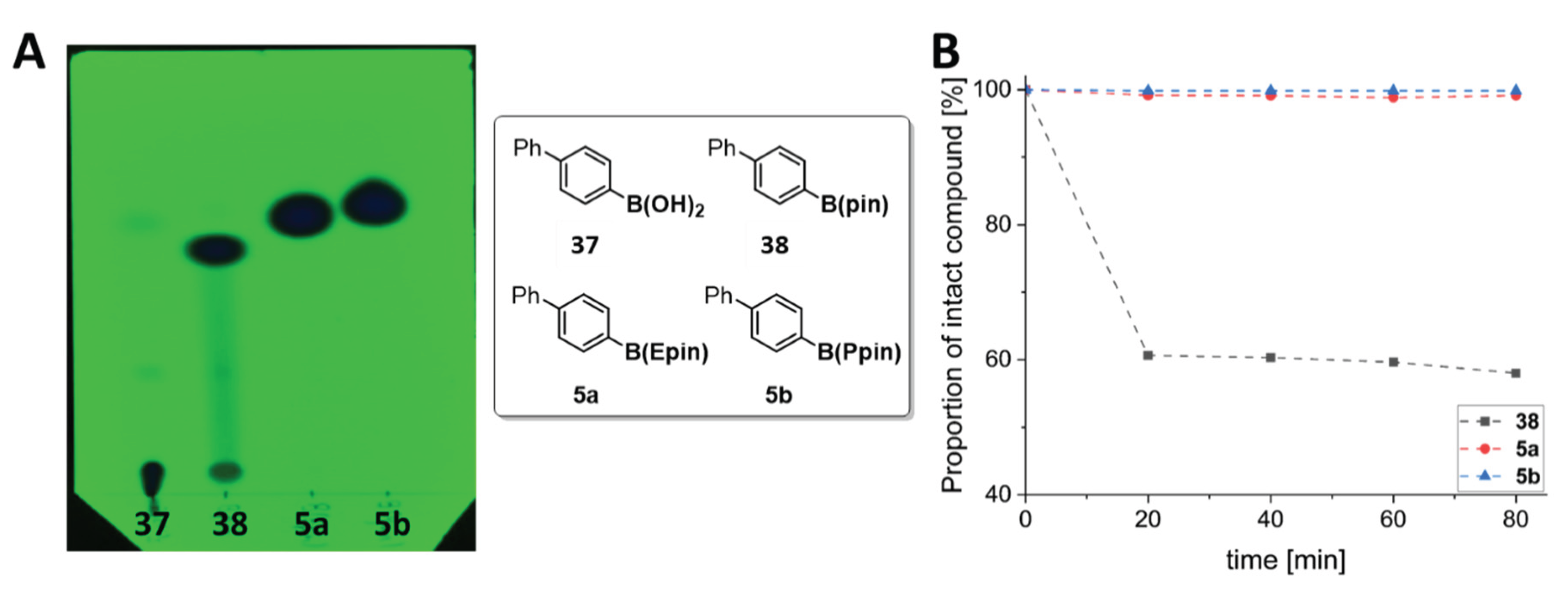 Preprints 163237 g001