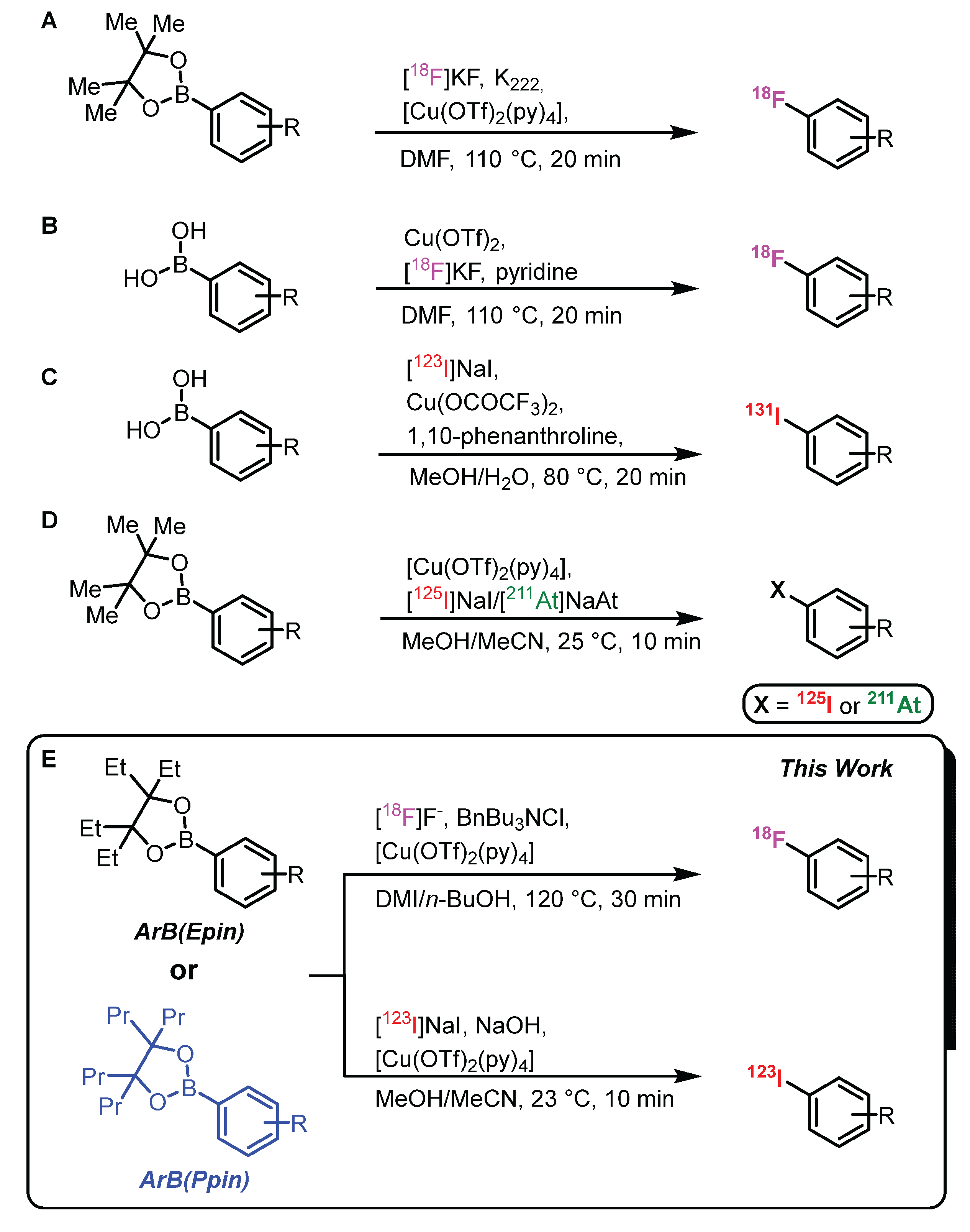 Preprints 163237 sch001