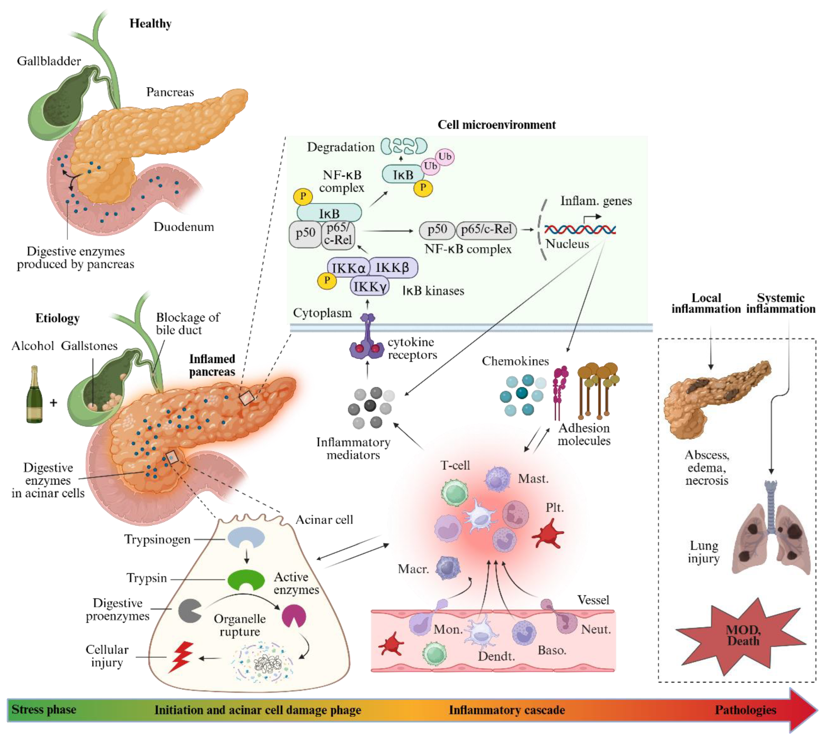 Preprints 162152 g001