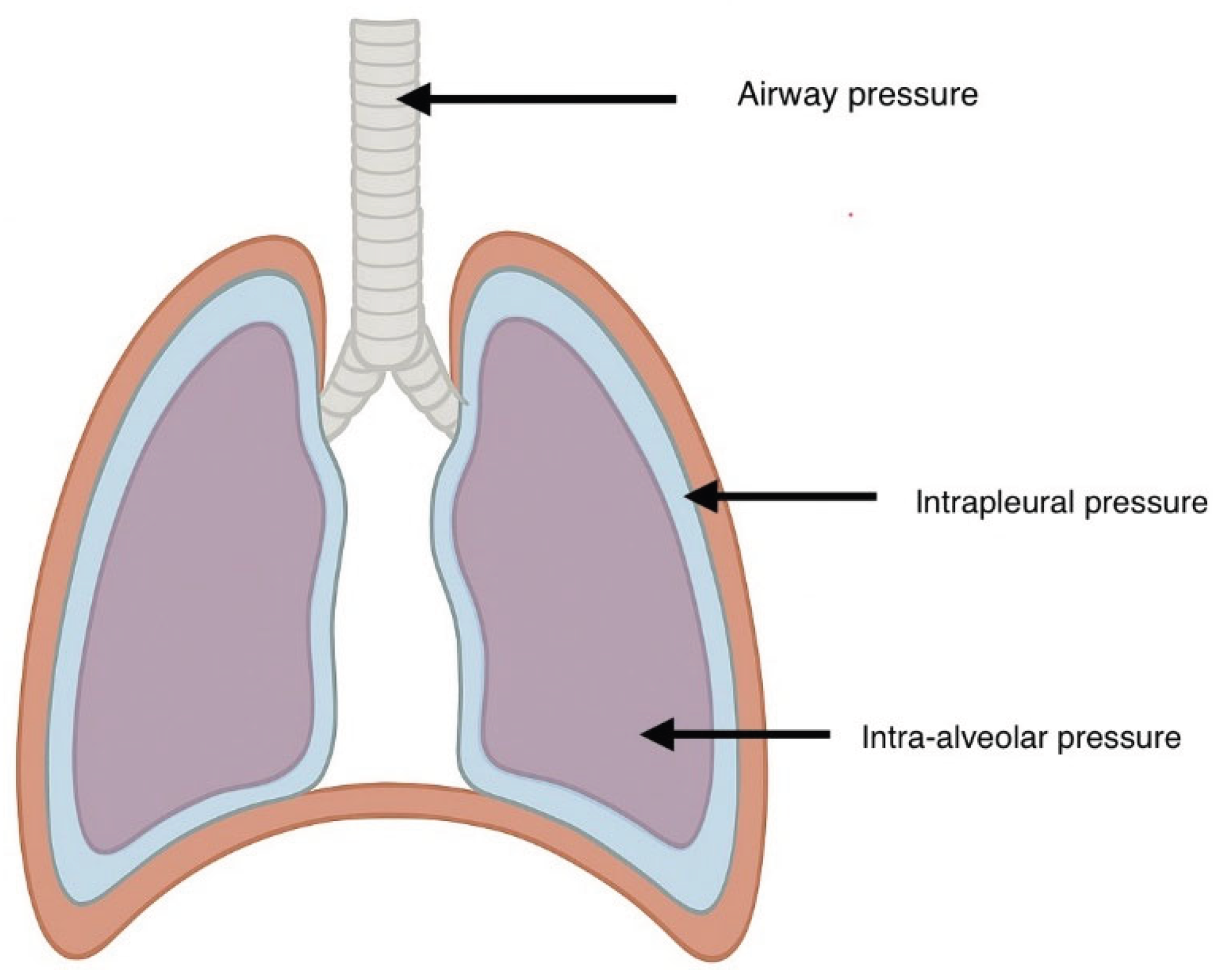 Preprints 189604 g001