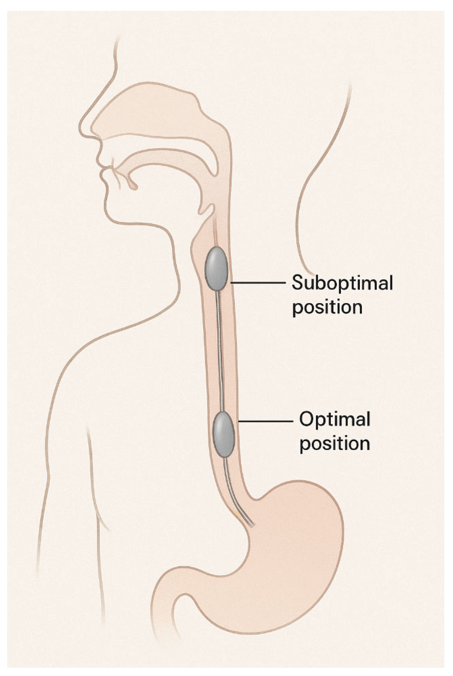 Preprints 189604 g003