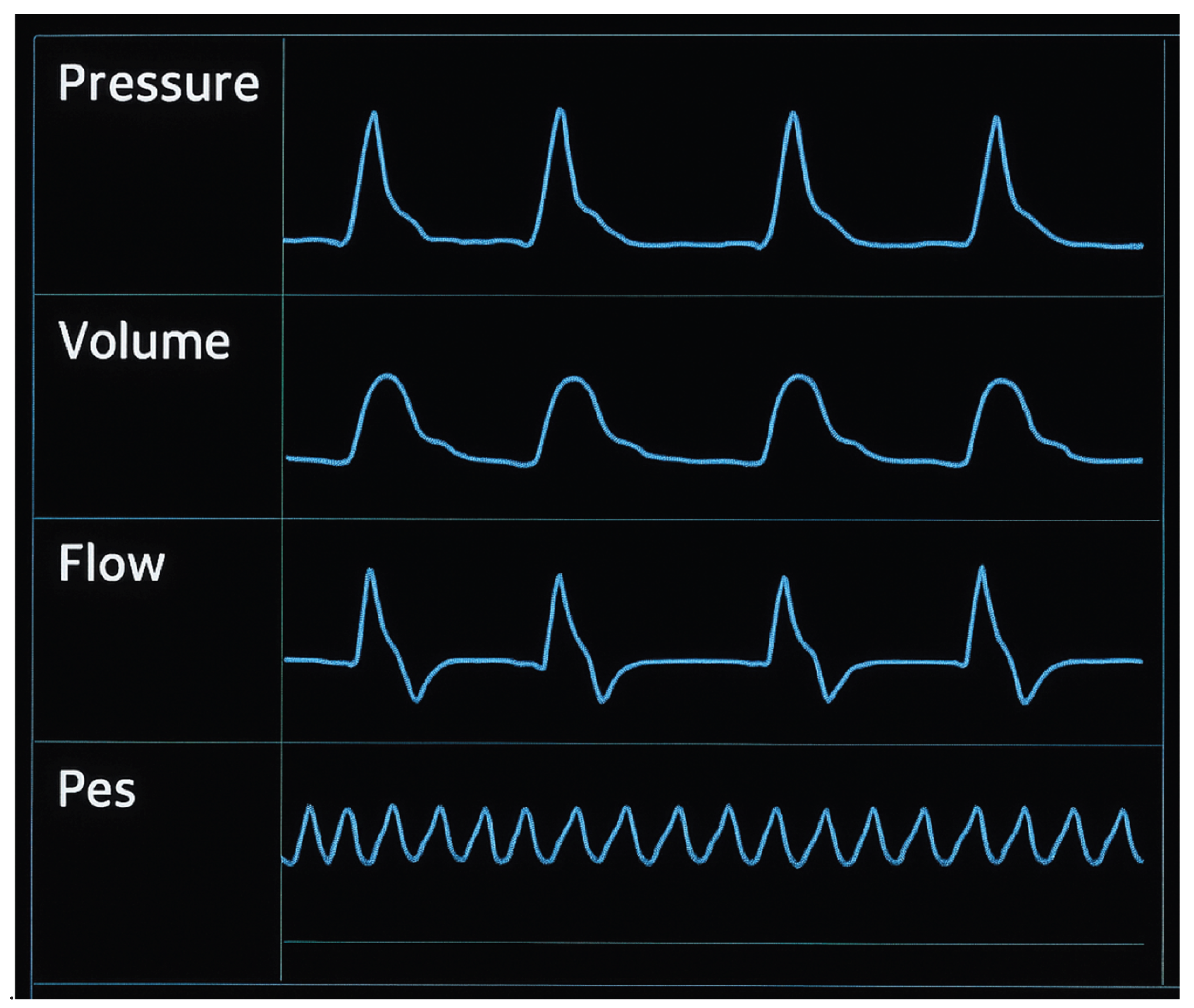 Preprints 189604 g008