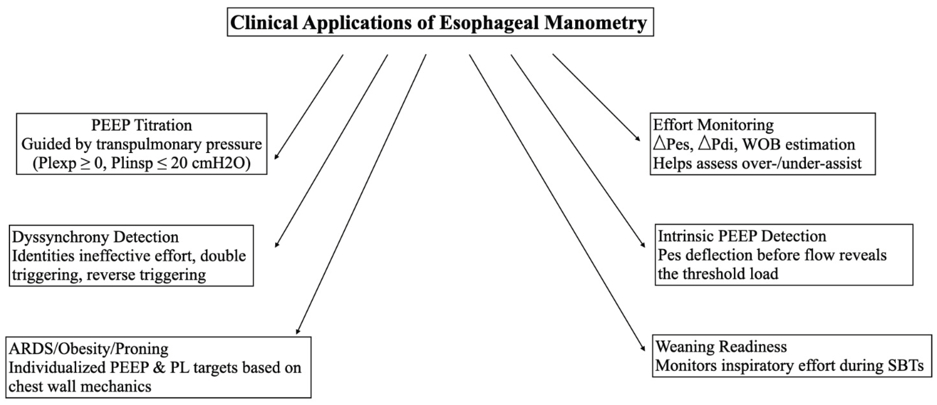 Preprints 189604 g010