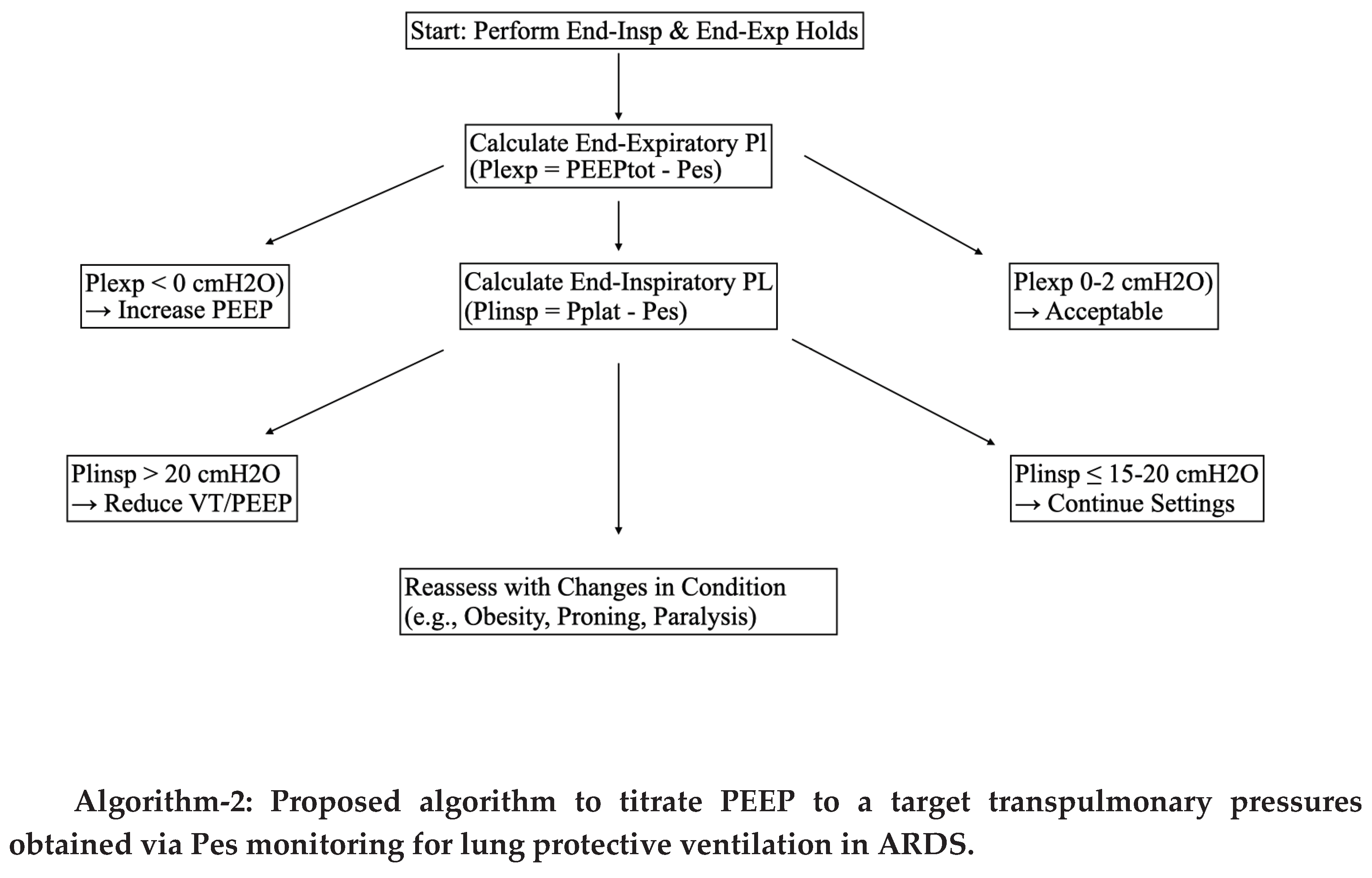 Preprints 189604 i002