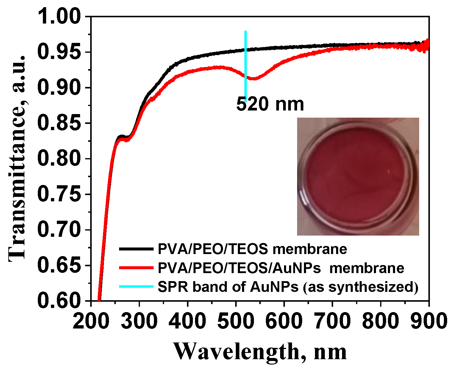 Preprints 151053 g003