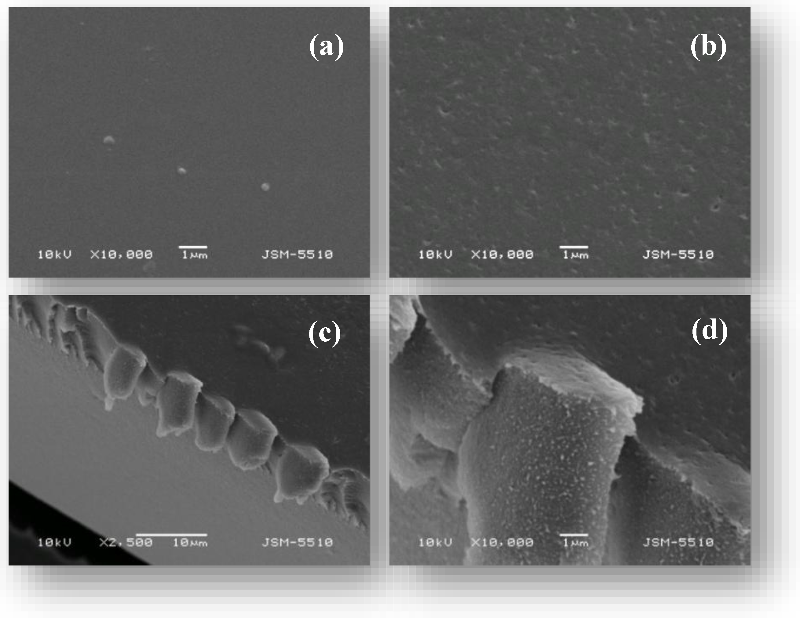 Preprints 151053 g004