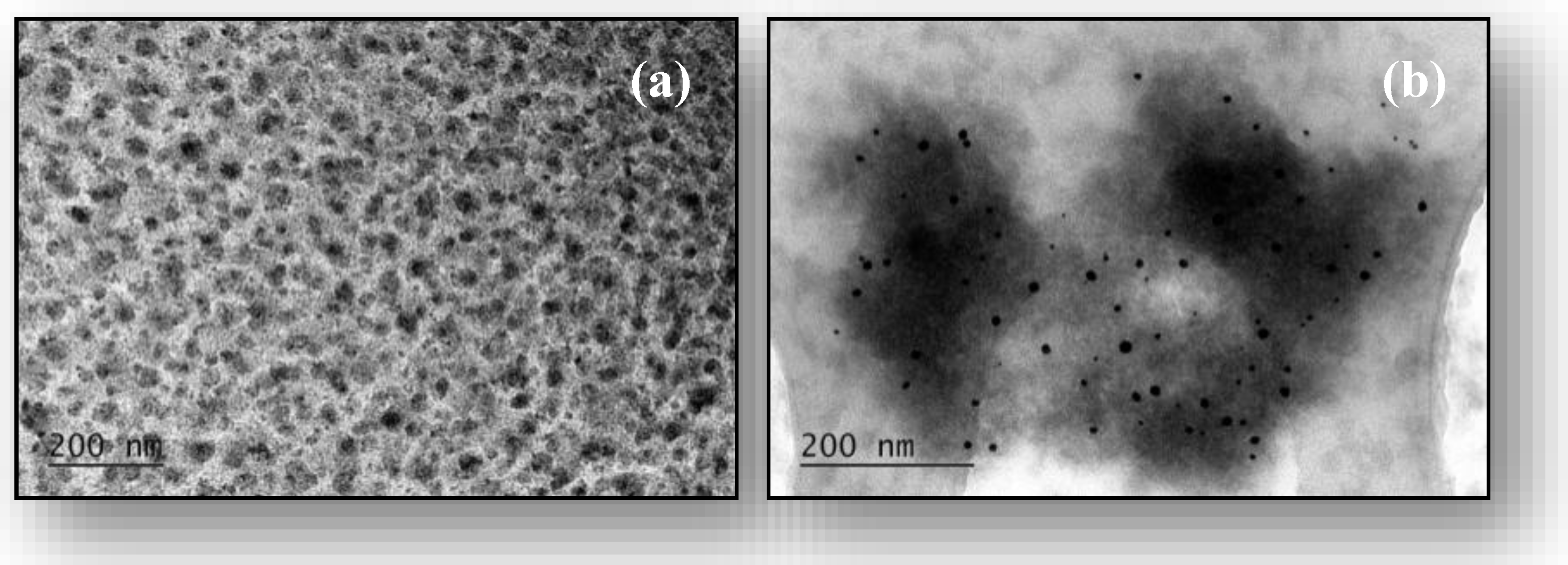 Preprints 151053 g005