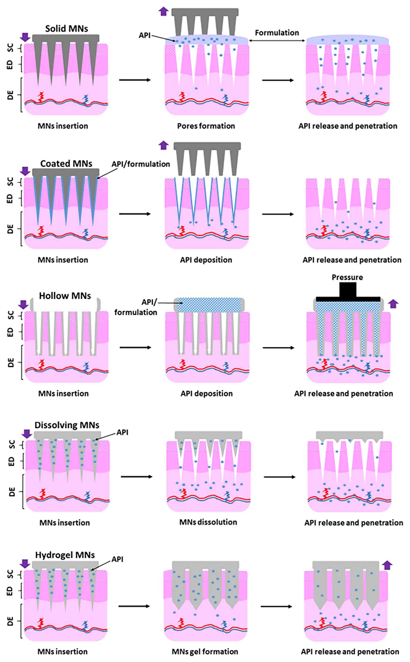 Preprints 231526 g001 Preprints 231526 g001